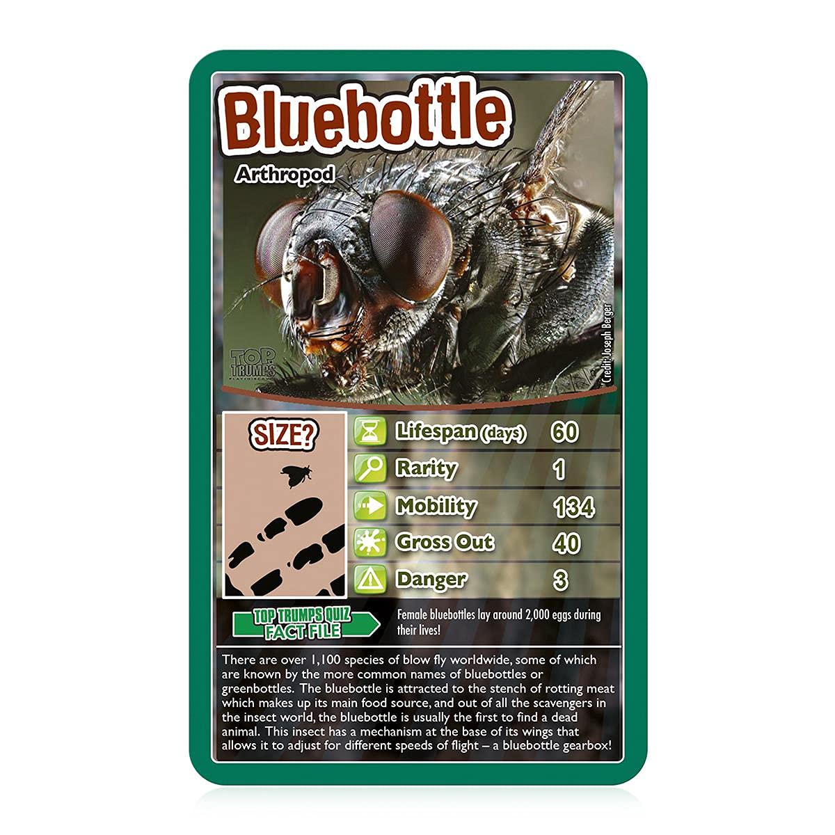 Top Trumps Bugs Classic Card Game - Educational Insect & Arachnid Trivia for Kids 6+ 11