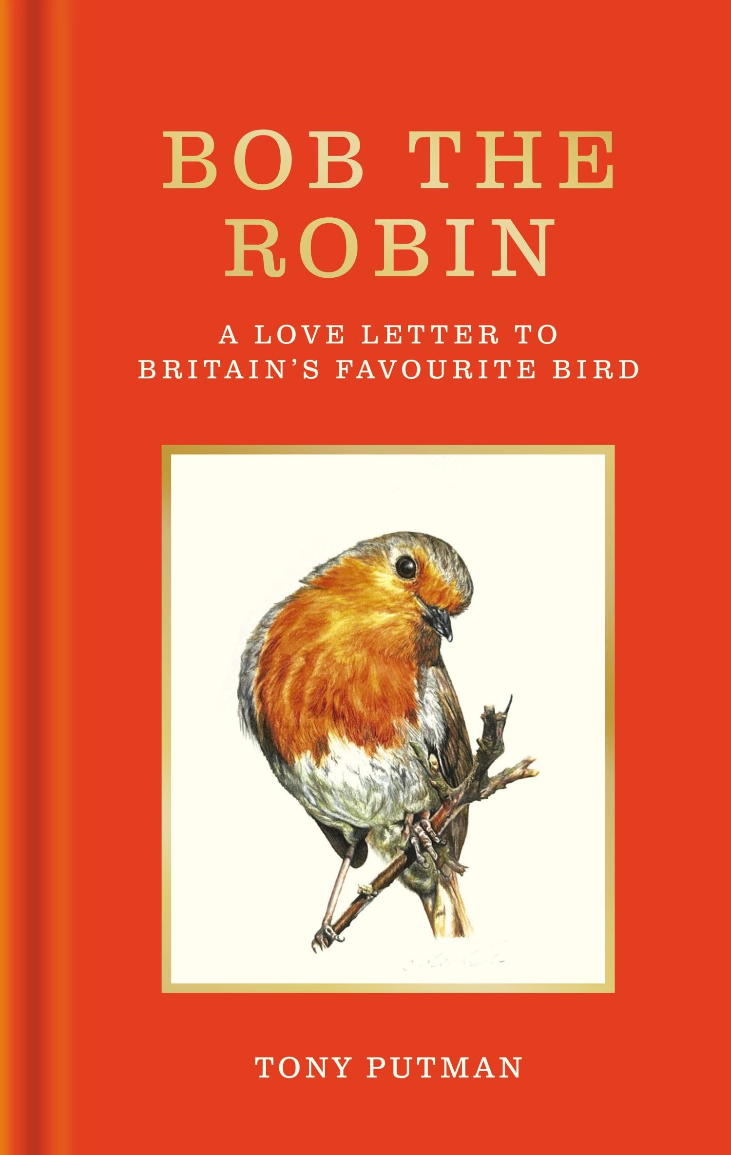 Gaia Bob the Robin: A True Story of Friendship with Britain's Favorite Bird by Tony Putman