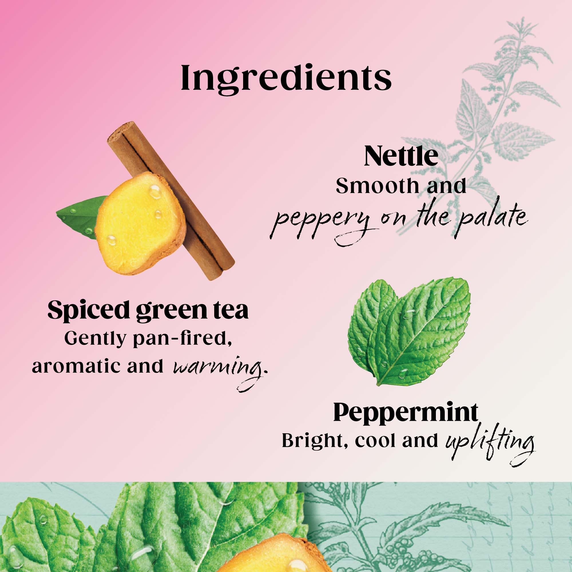 Twinings Superblends Stoffwechseltee – Pfefferminz- und gewürzter grüner Kräutertee mit Brennnessel und Zink, 80 biologisch abbaubare Teebeutel 4