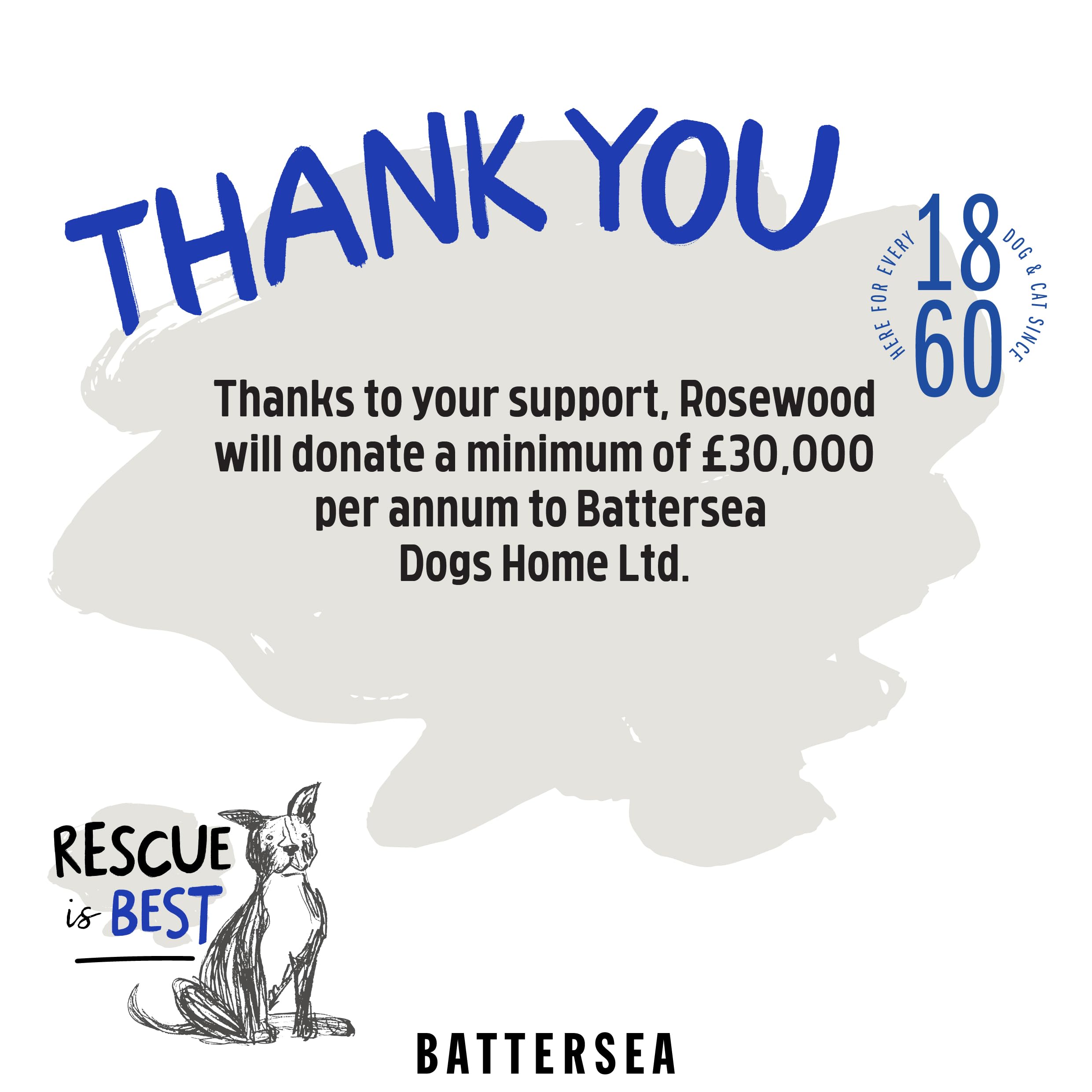 Rosewood Battersea Rope and Rubber Tug Dog Toy - Blue, Durable Chew Toy for Large Breeds 9