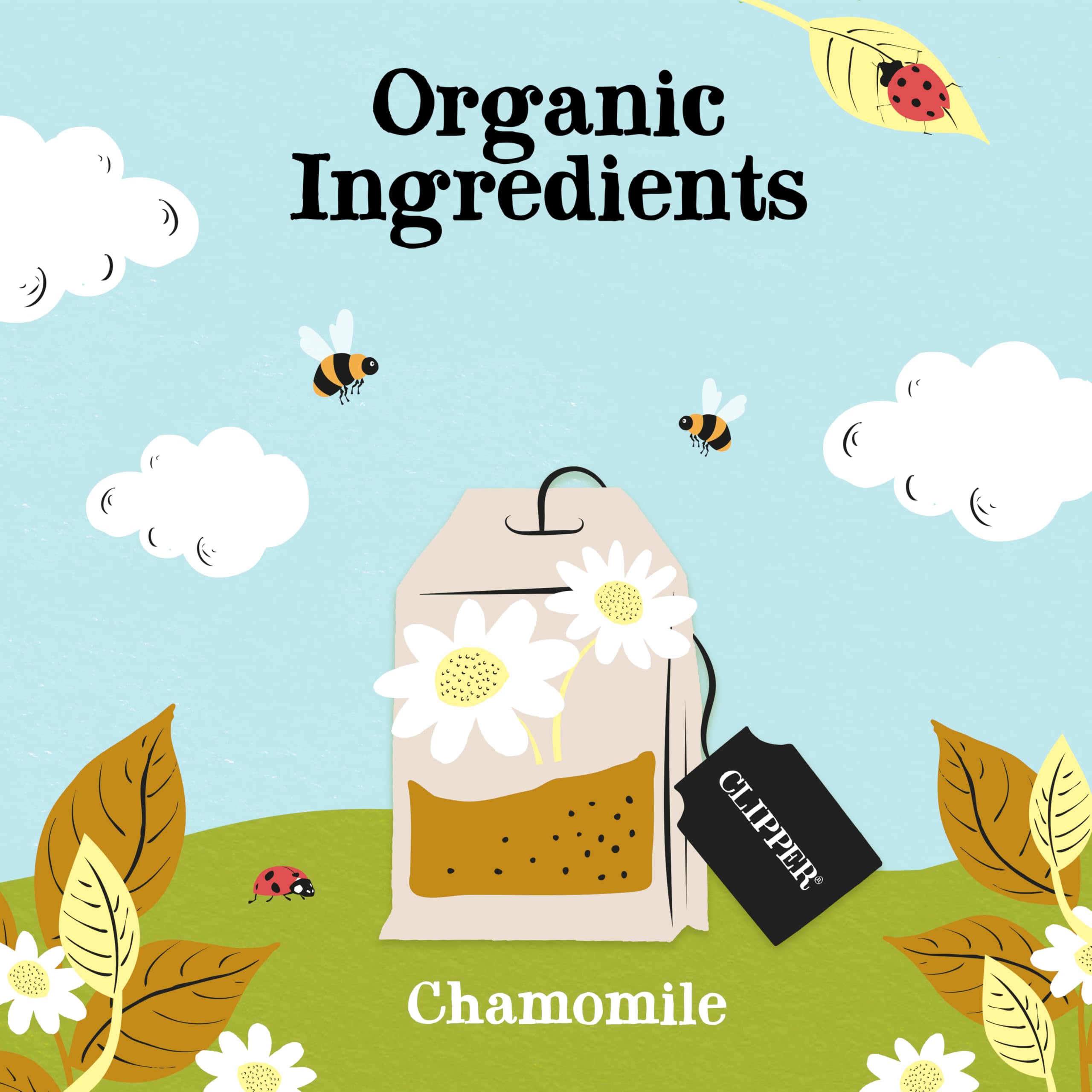 Clipper - Organic Chamomile Tea Bags | 250 Individually Wrapped Fairtrade Infusion Sachets