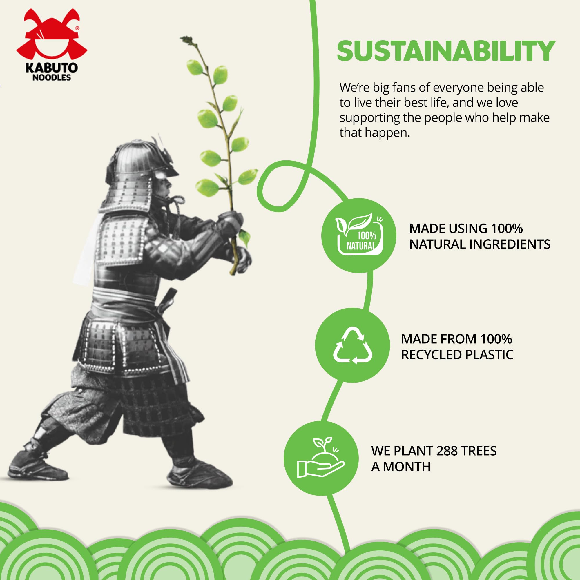 Kabuto Noodles - Vegetable Laksa Instant Noodles | 6 Pack (6 x 65g) | Gluten Free, Low Fat, 100% Recyclable Packaging 4