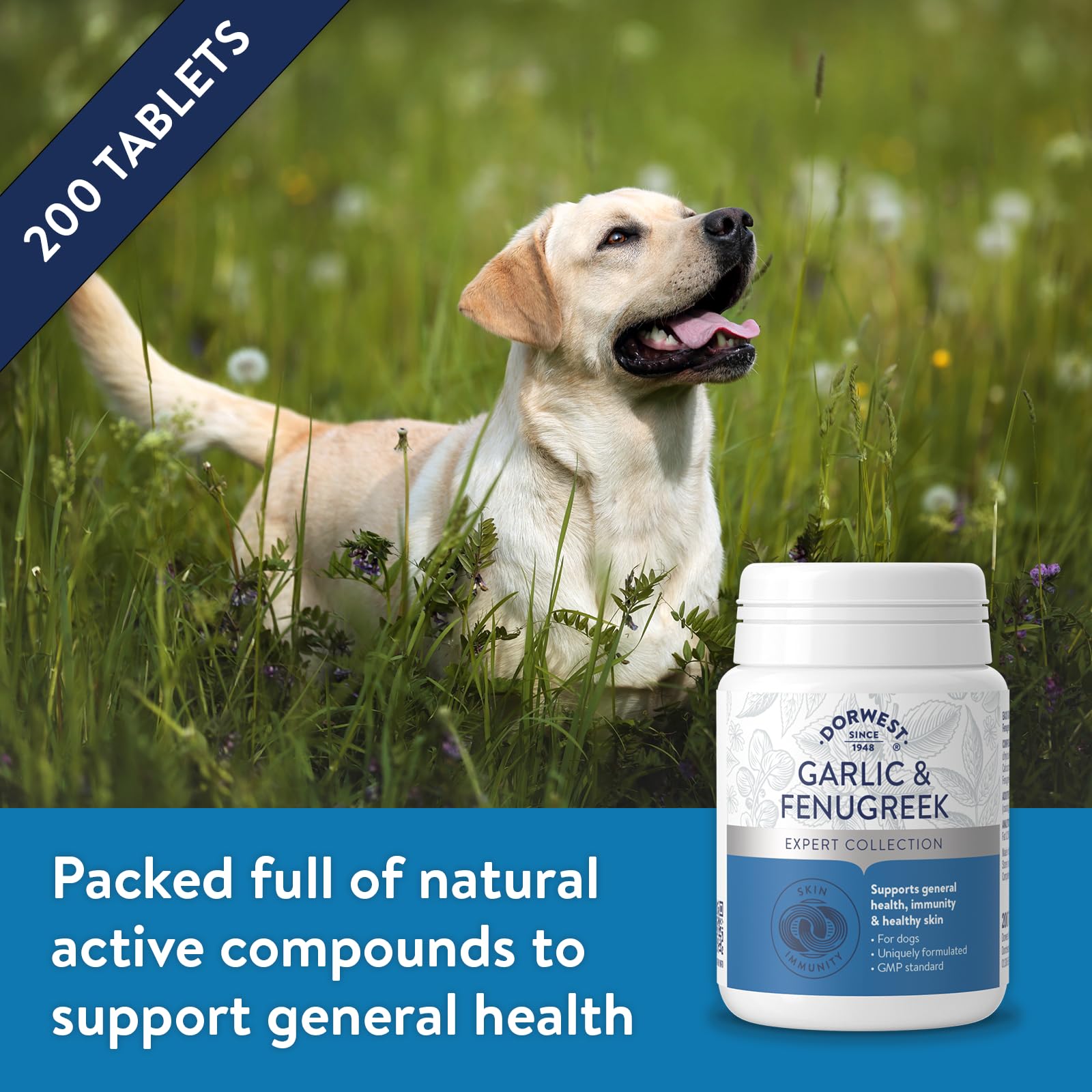DORWEST HERBS Garlic and Fenugreek Tablets for Dogs - 200 Count | Immunity & Joint Support