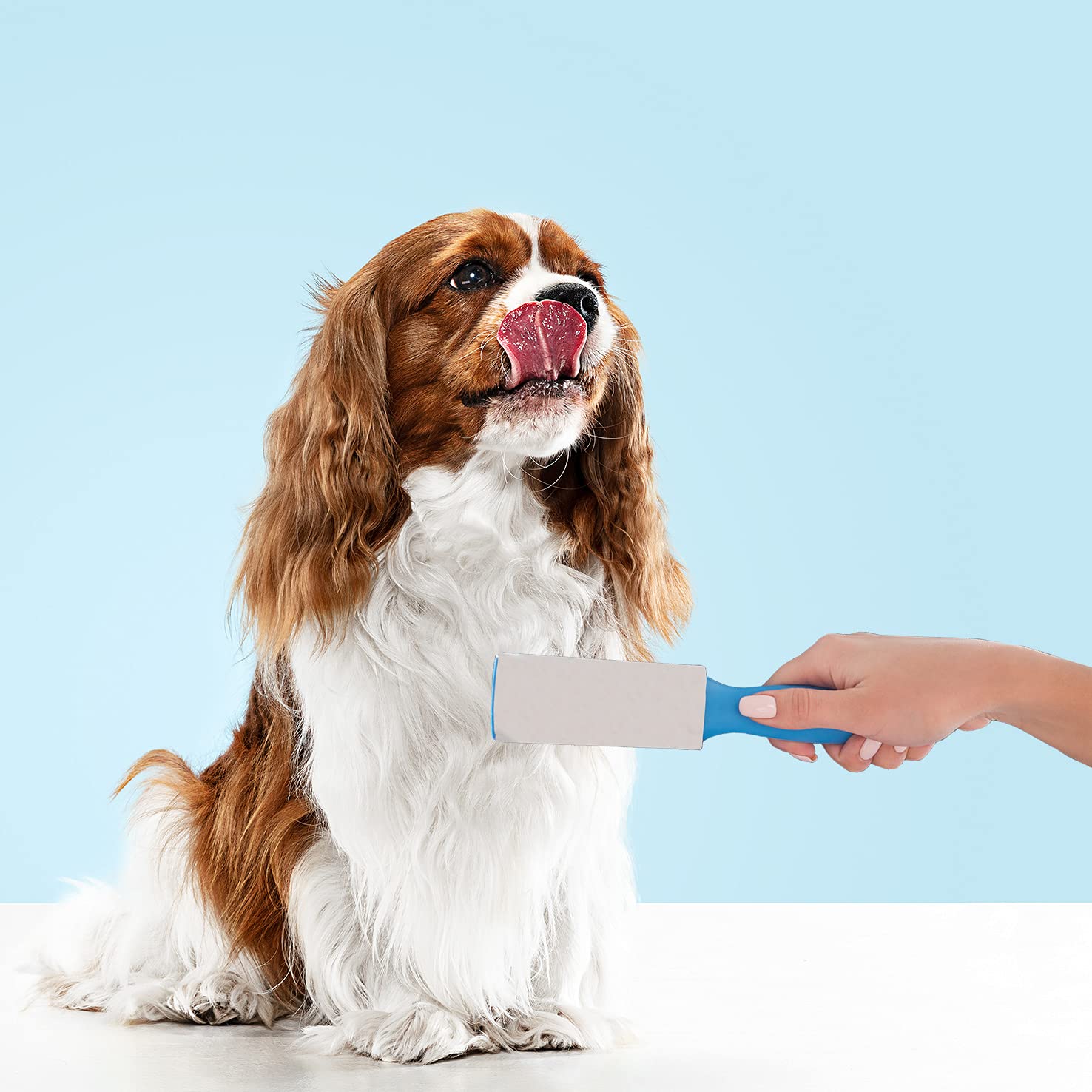 1ABOVE Lint Roller - 300 Total Sticky Sheets | Ergonomic Handle | White & Blue