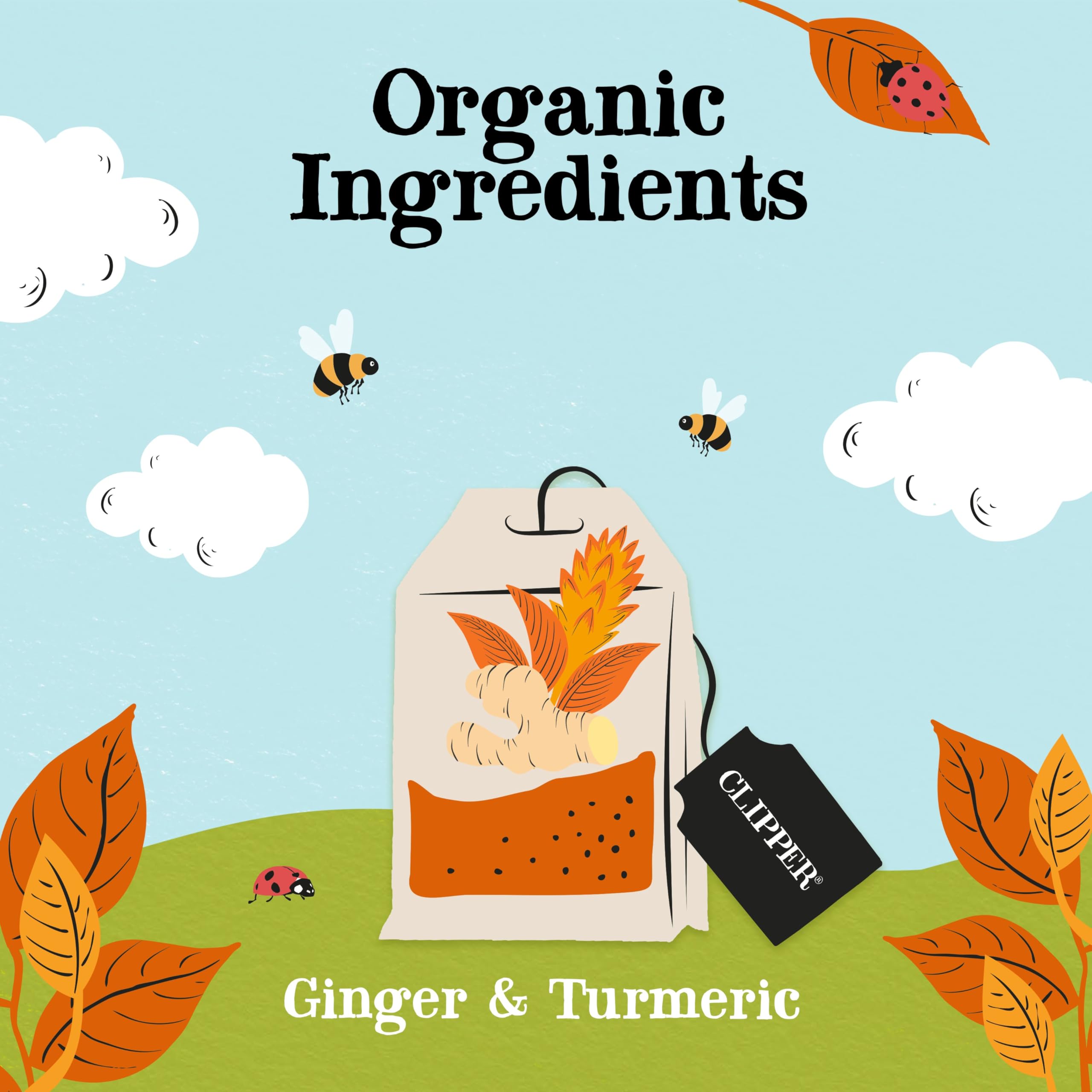 Clipper - Organic Restoring Roots Ginger & Turmeric Tea Bags | 20 Infusions 10