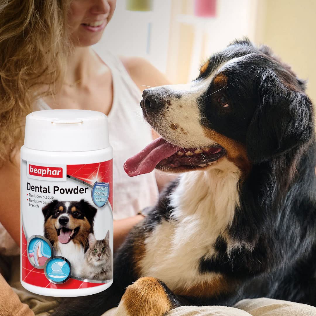 Beaphar Anti-Plaque Dental Powder for Dogs & Cats | Fights Plaque & Bad Breath | 77g Tub 6