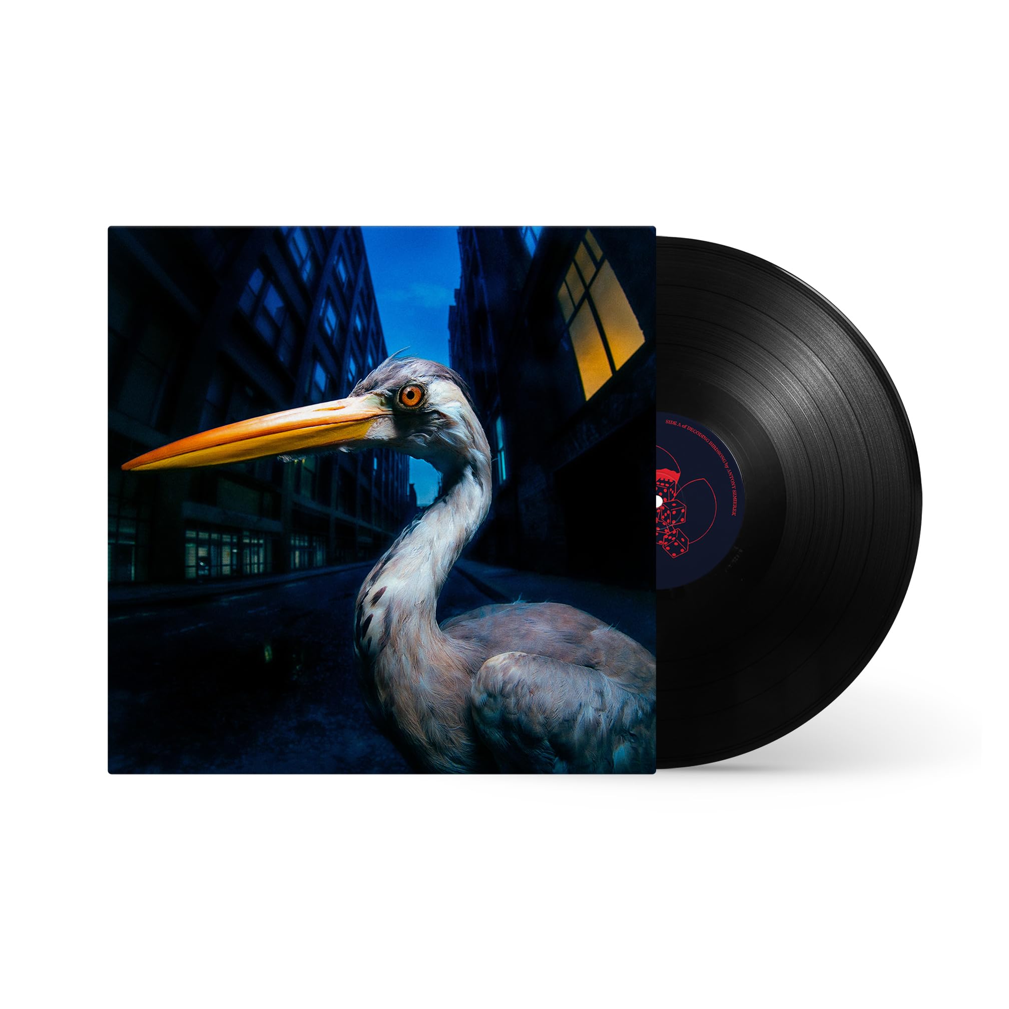 Antony Szmierek - Decoding Birdsong [VINYL]