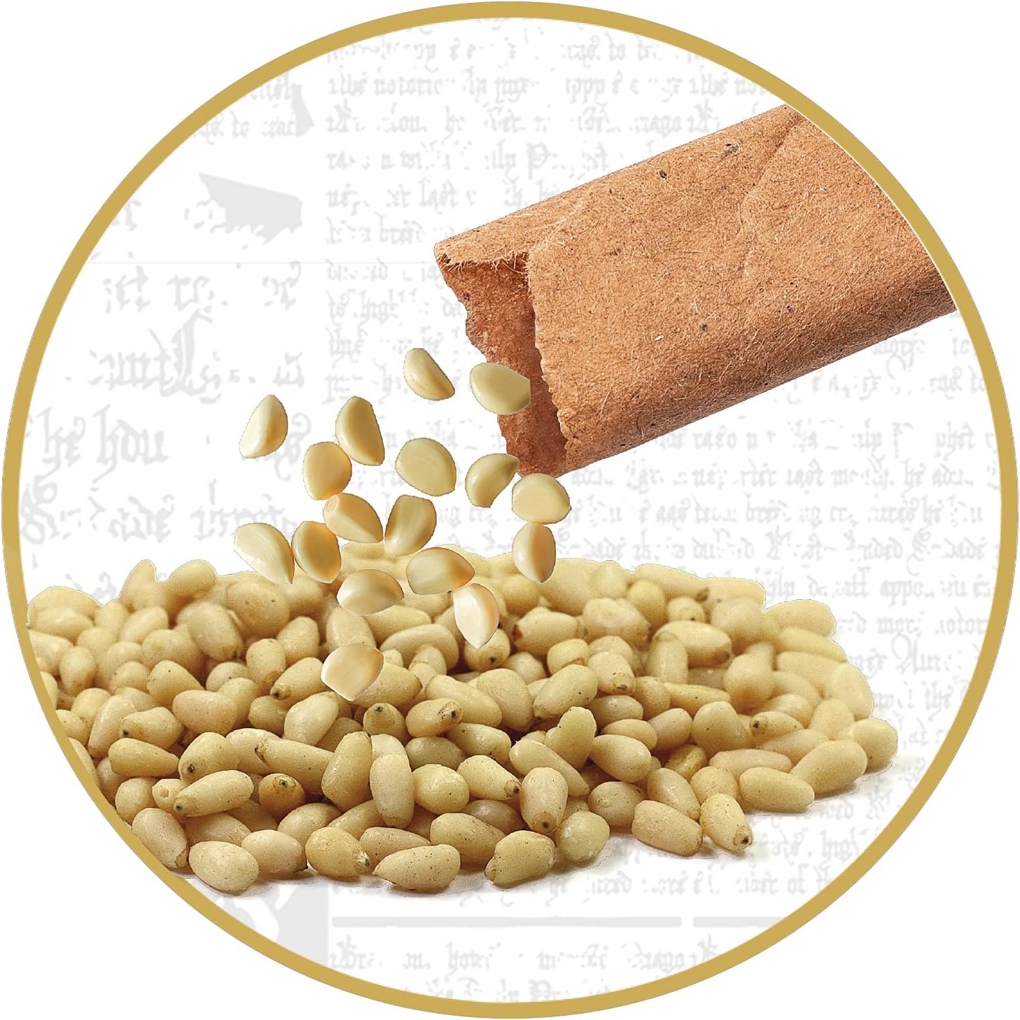 Clementoni 19248 Terrarium - Harry Potter Hagrid's Hut Educational Kit for Kids Ages 7+ 3