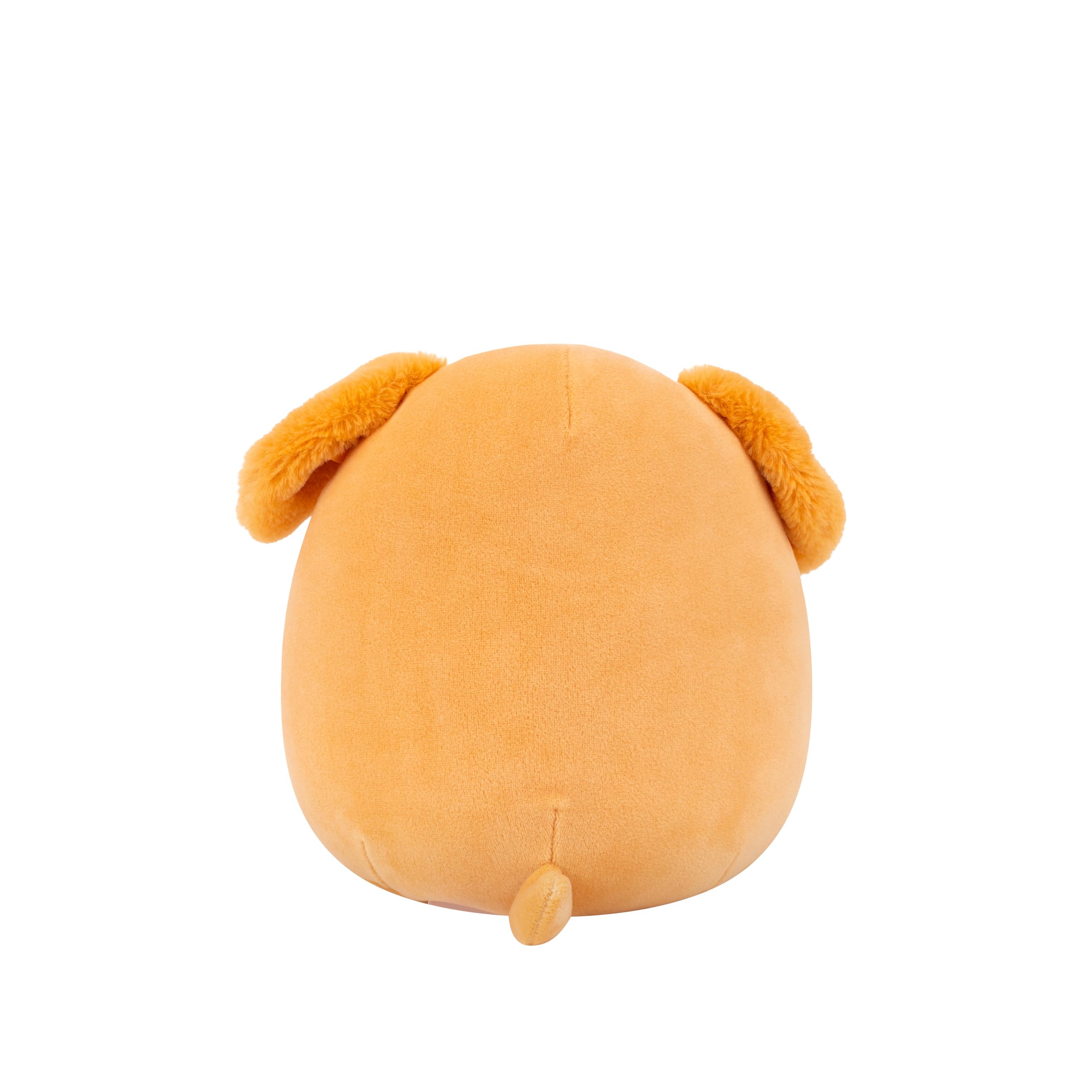 Squishmallows Original 7,5 Zoll großer Finley, der braune Irish Setter – weiches Plüschspielzeug für Kinder ab 3 Jahren 3
