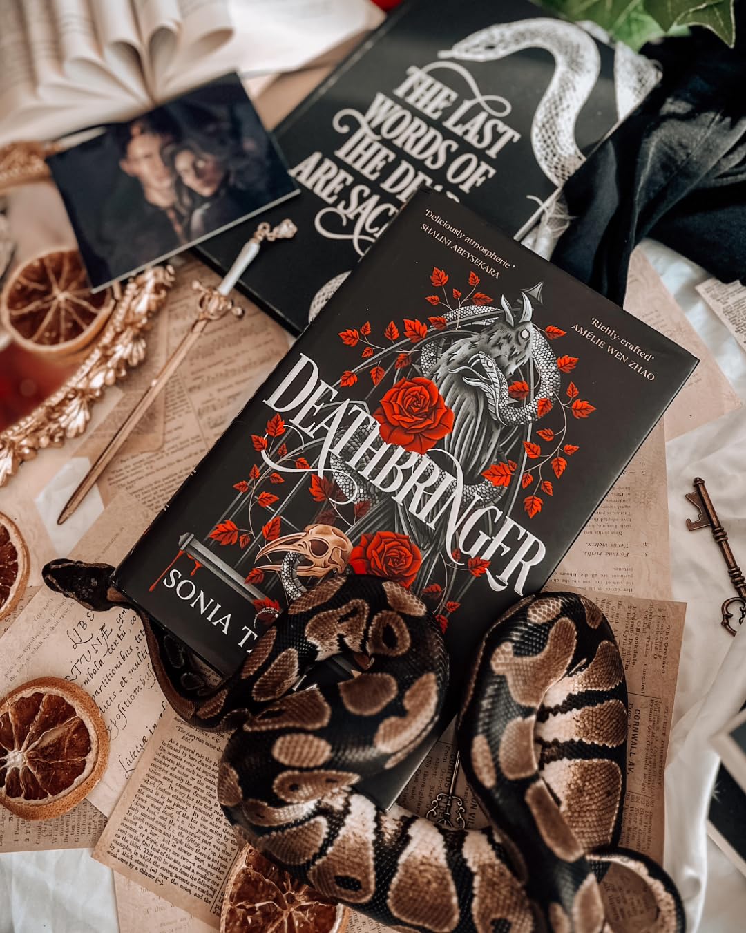 Deathbringer by Sonia Tagliareni | Hardcover | Contemporary Fantasy 2