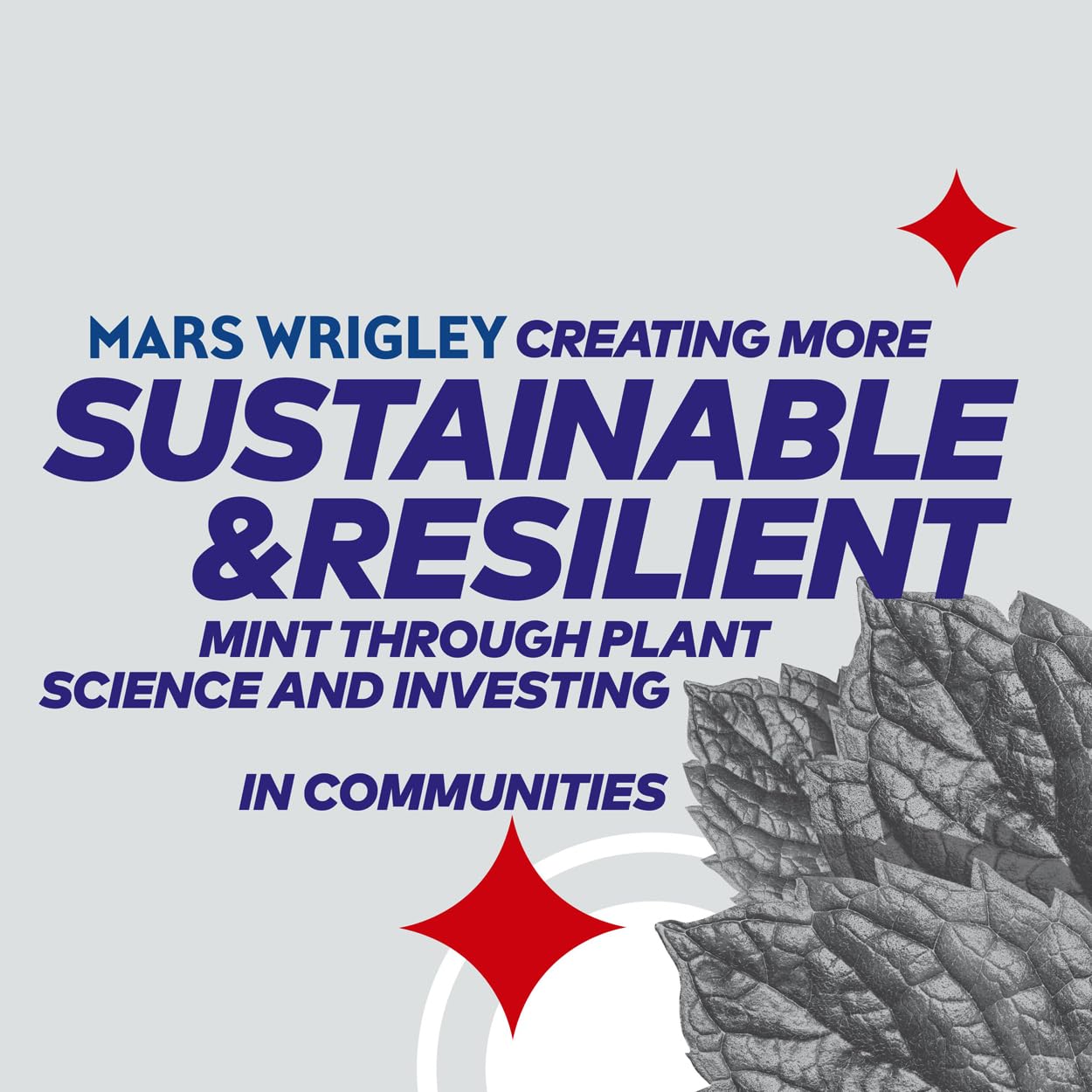 Extra - Weißer Kaugummi zuckerfrei (5 x 10 Stück) 6