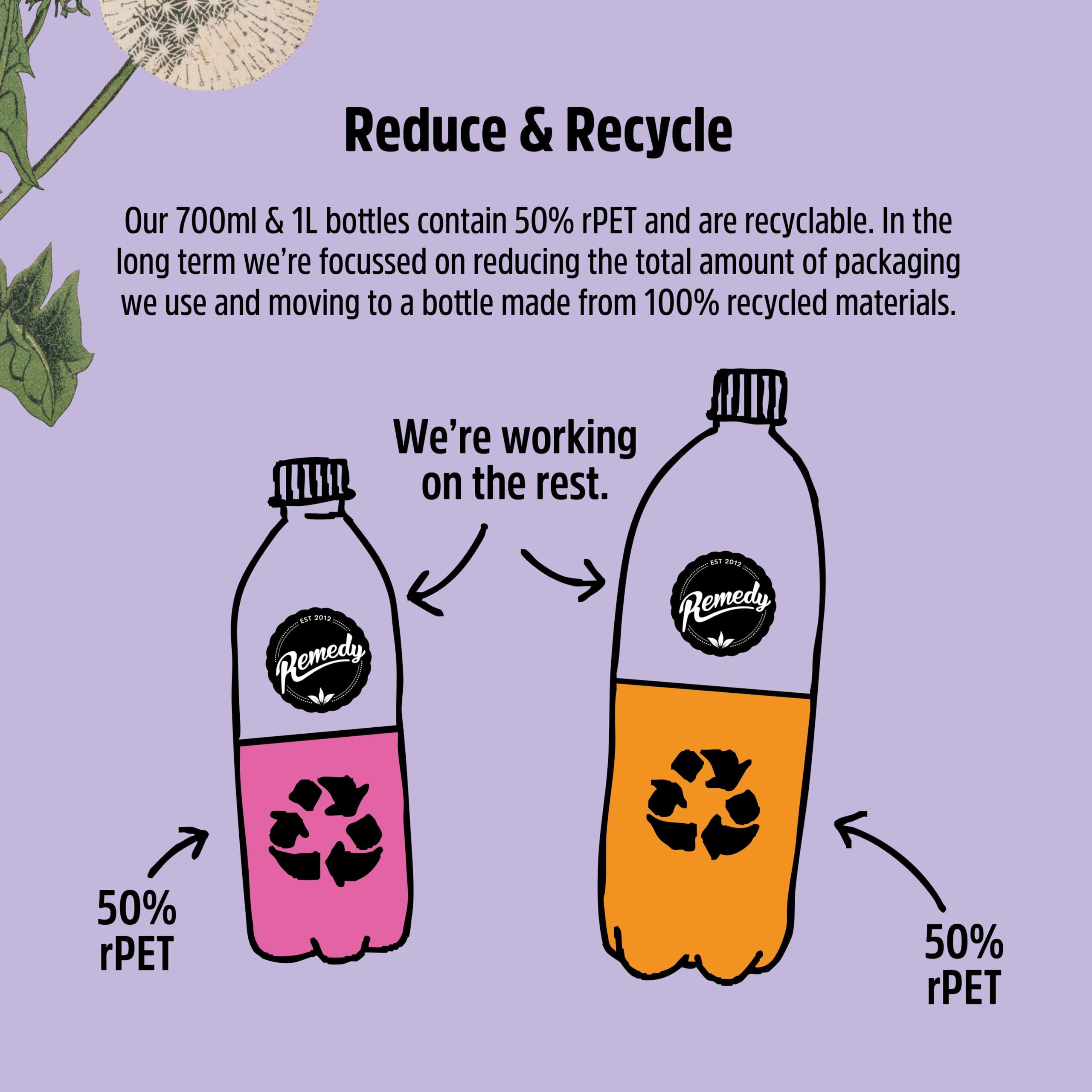 Remedy Kombucha Tea - Raspberry Lemonade - Sparkling Live Cultured, Natural 3