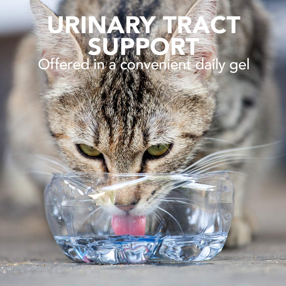Vet's Best Feline Urinary Tract Support Cat Supplement Gel | Chicken Flavor | 100g 5