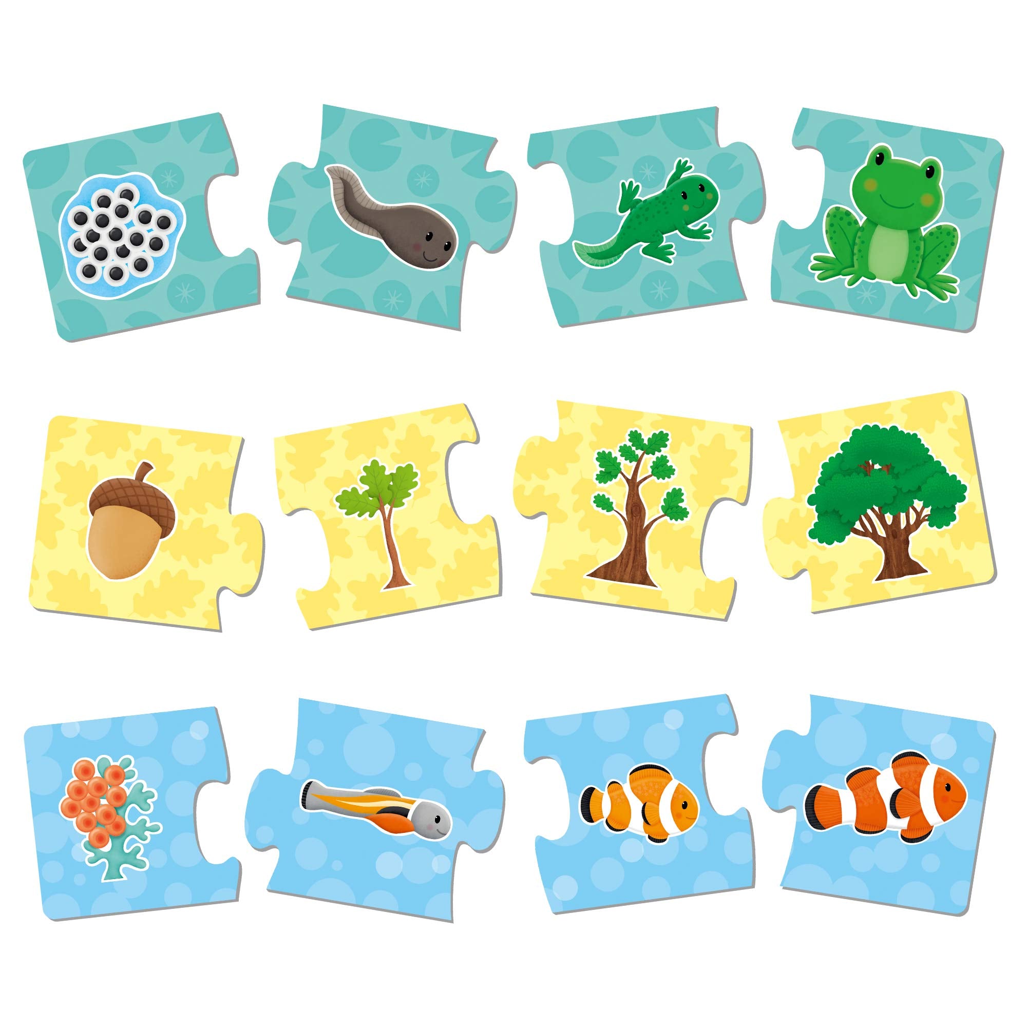 Galt How Things Grow Puzzle Set - 6 Life Cycle Puzzles | Ages 3-6 | Thick Board