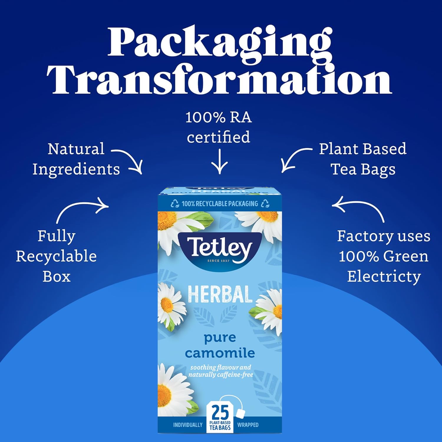 Tetley Pure Camomile Tea Bags - 25 Individually Wrapped Herbal Infusion - Naturally Caffeine-Free - Rainforest Alliance Certified 6