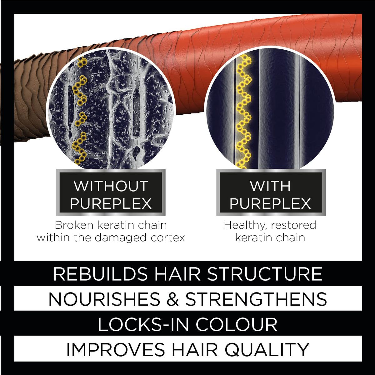 Knight & Wilson PurePlex Bond Reconstructing Shampoo - Restores Strength & Volume | 200ml | Vegan & Cruelty-Free 3