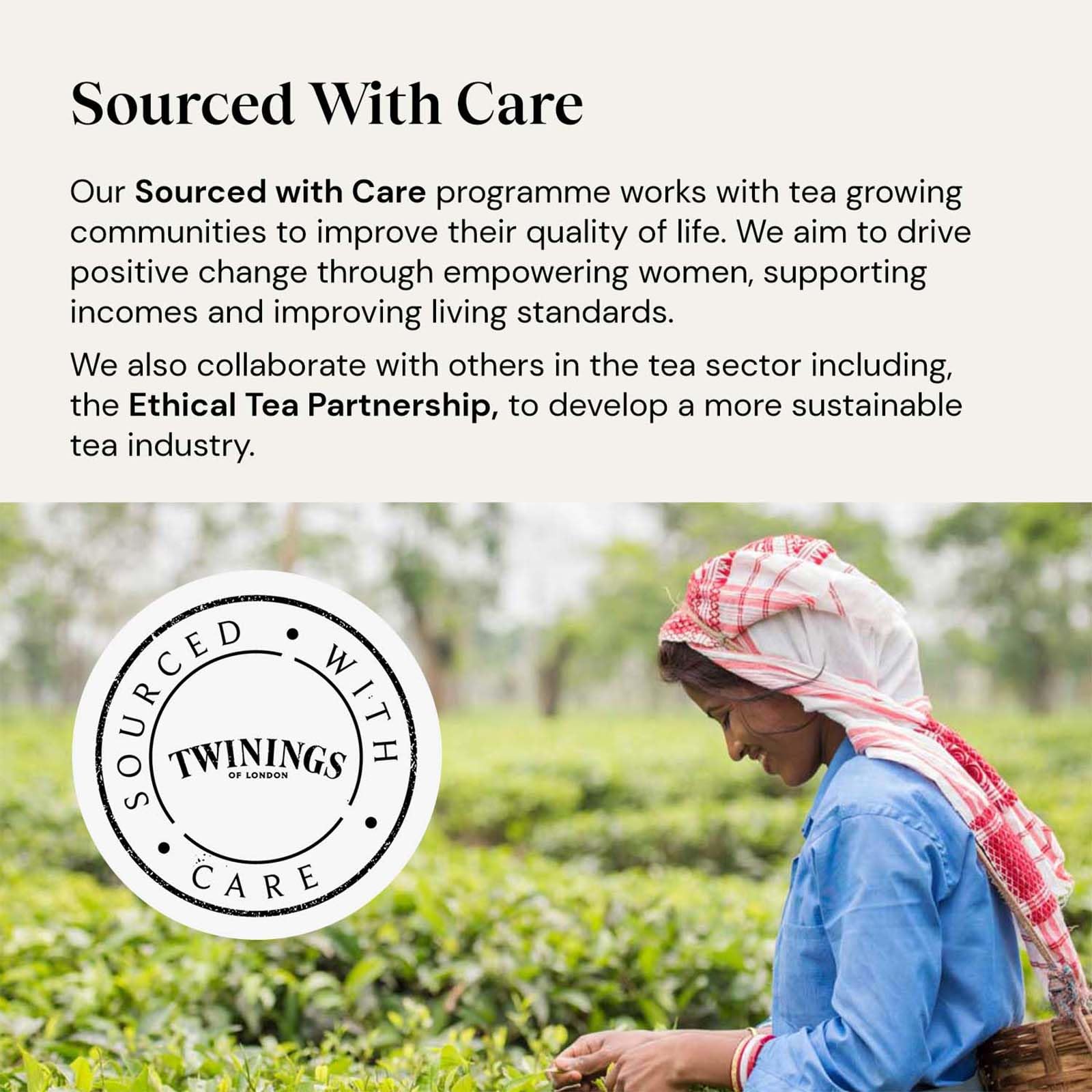 Twinings Superblends Focus Kräutertee – Mango- und Ananas-Aufguss mit Ginseng und Vitamin B6, 80 biologisch abbaubare Teebeutel 5