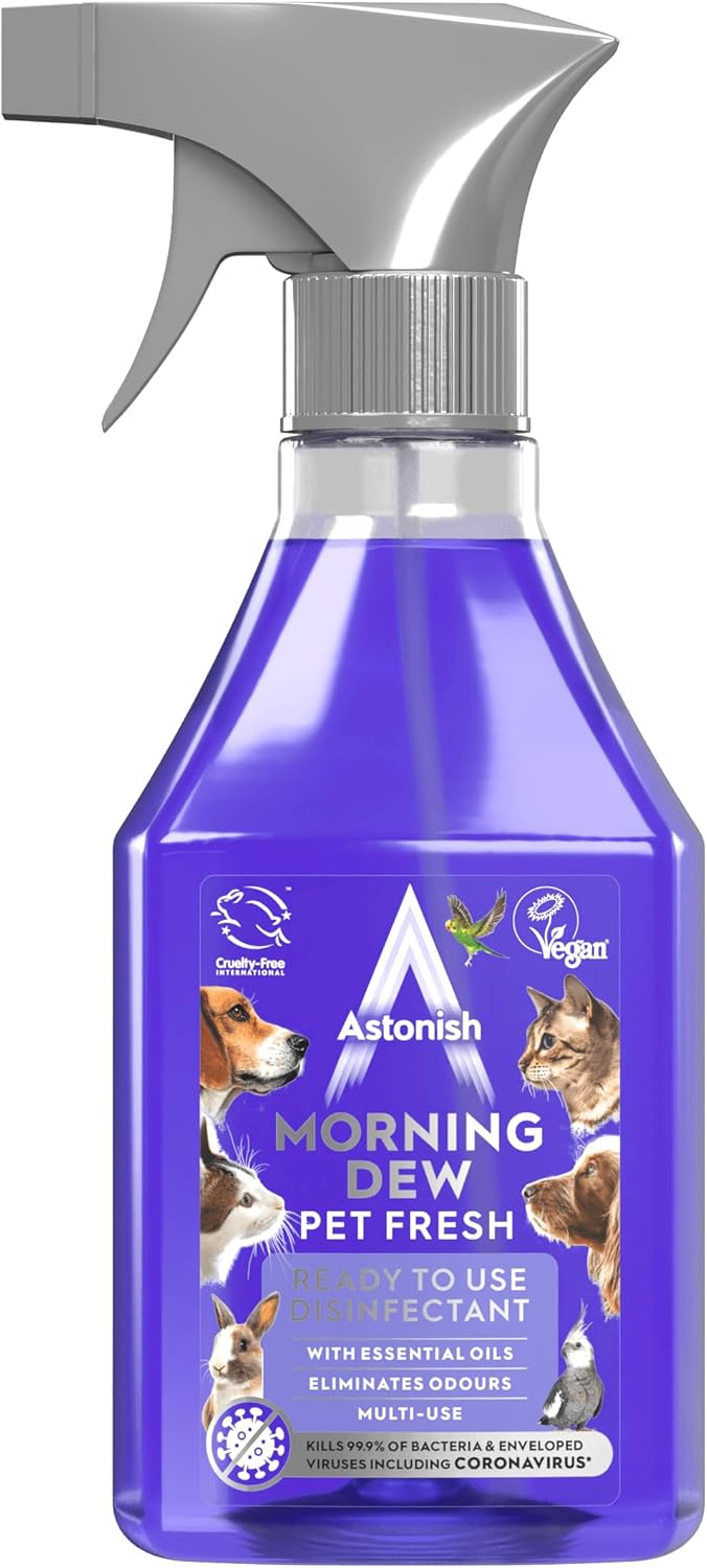 Astonish - Morning Dew Disinfectant Spray (550ml)