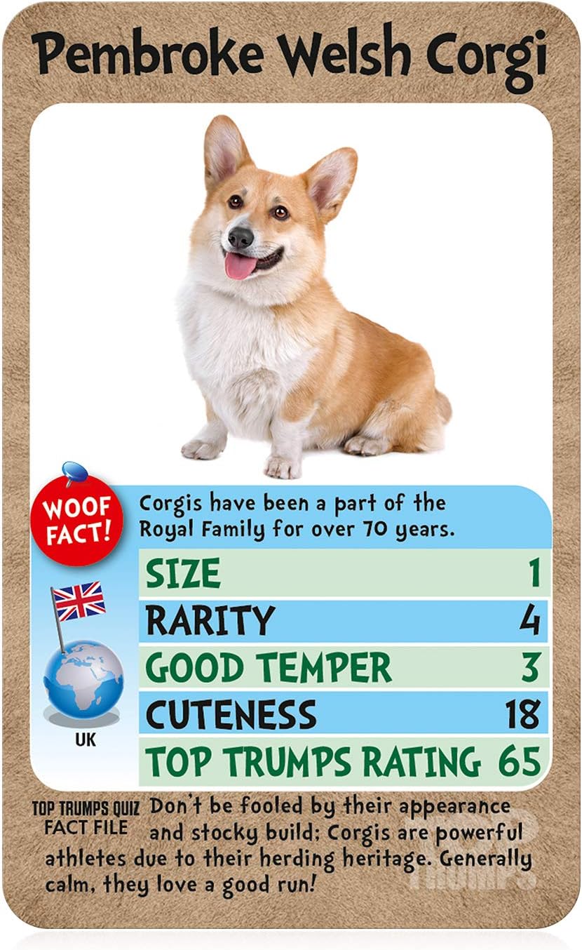 Top Trumps Dogs Card Game 3