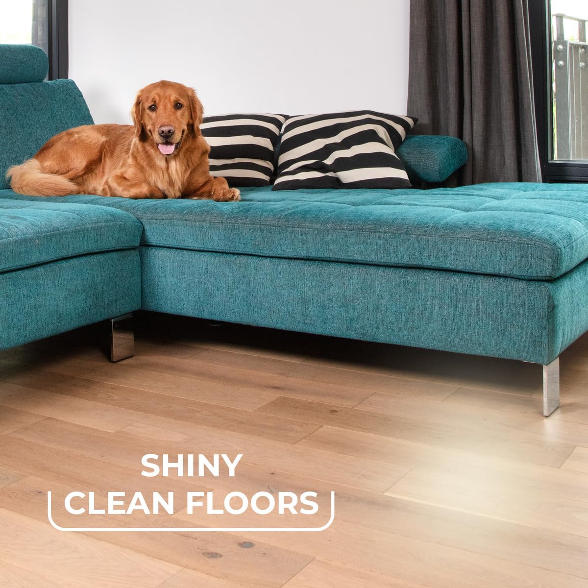 Vileda Pet Pro Always Clean Besen – Gummibesen zum Entfernen von Tierhaaren, abgewinkelte Borsten für Ecken, leicht abzuspülen, rot 6