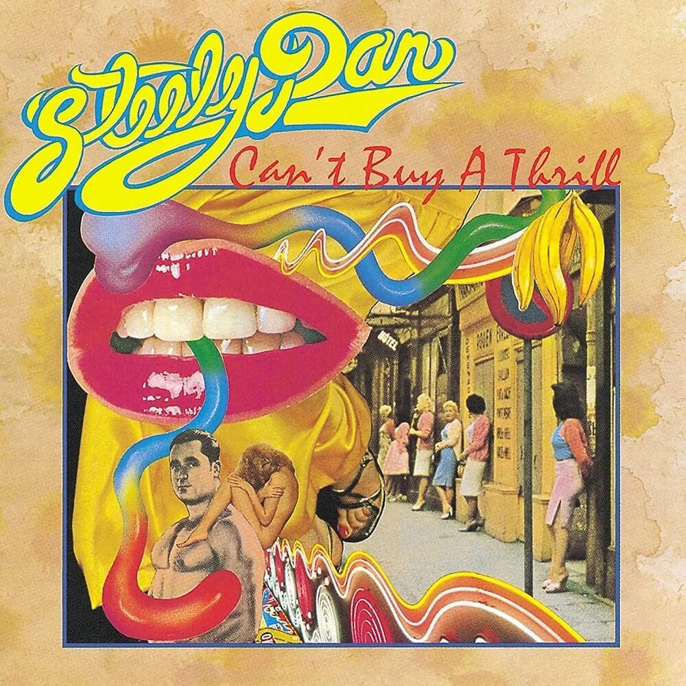 Steely Dan - Can't Buy A Thrill [VINYL] 3