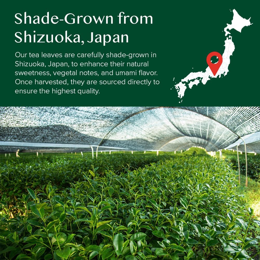 VAHDAM Matcha Green Tea Powder (25g) - Authentic Japanese Culinary Grade 9