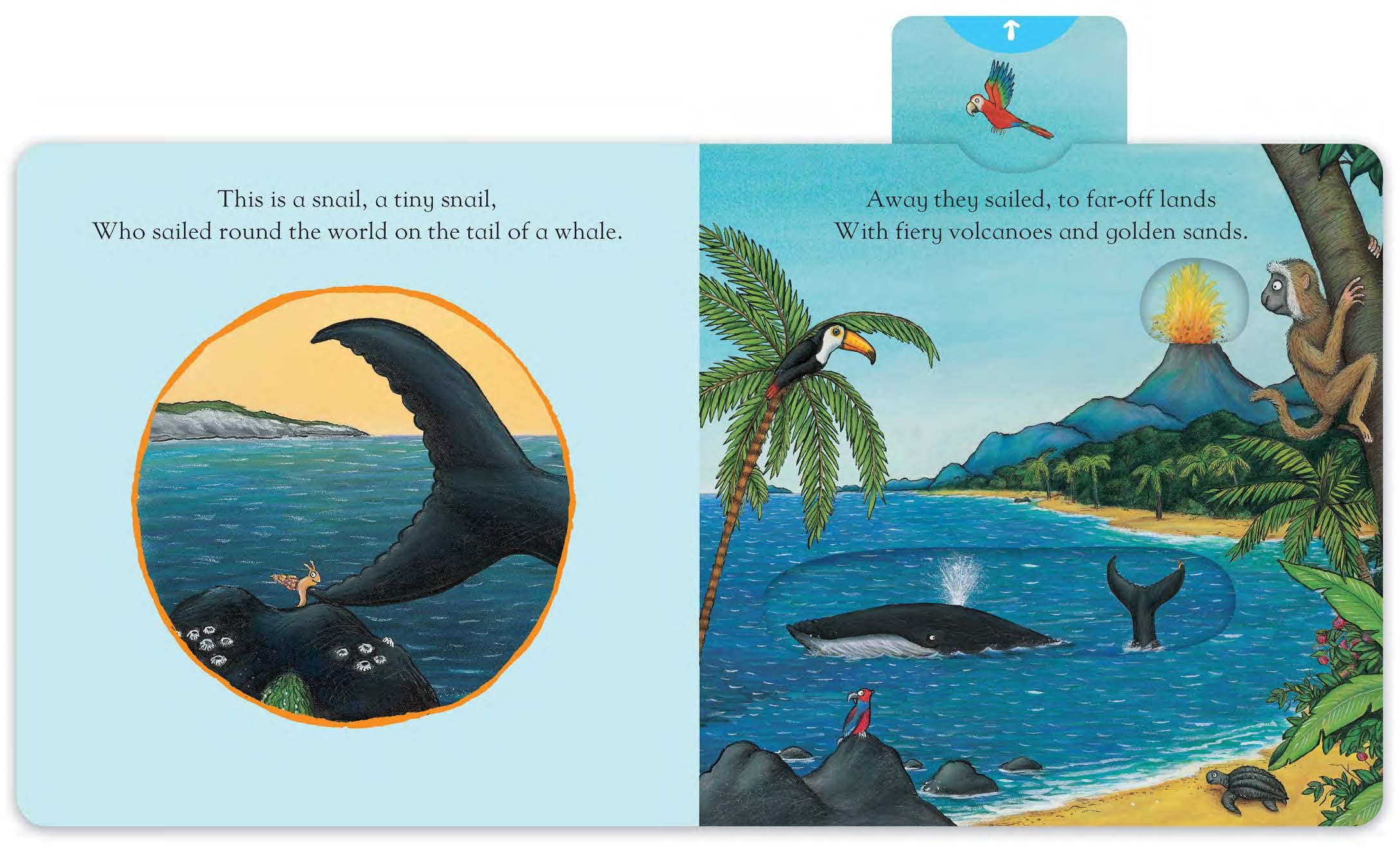 MACMILLAN The Snail and the Whale: A Push, Pull and Slide Book | Board Book | Ages 2-4 3