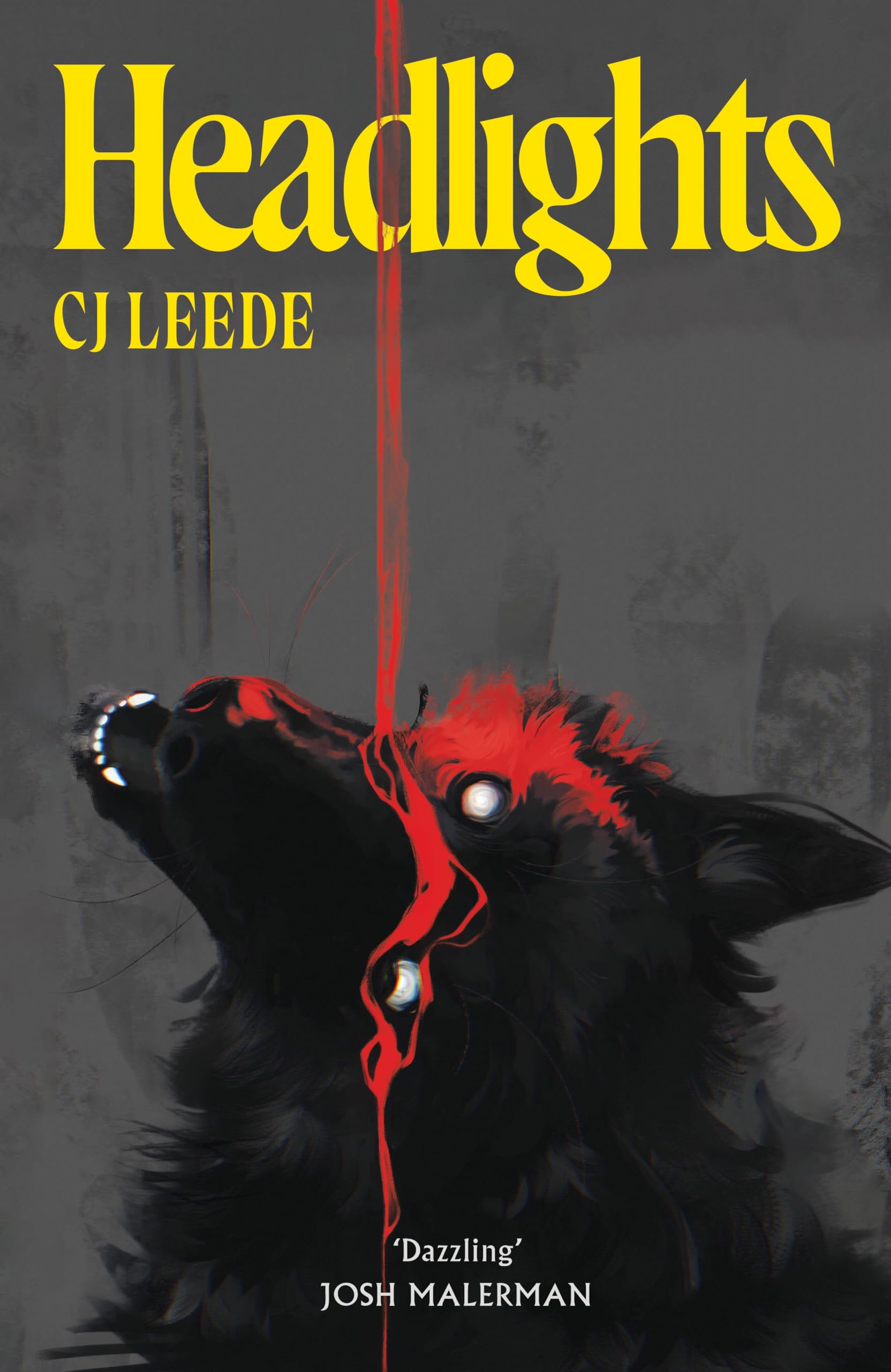 CJ Leede - Headlights: A Dark, Visceral Serial Killer Horror | Hardcover 1