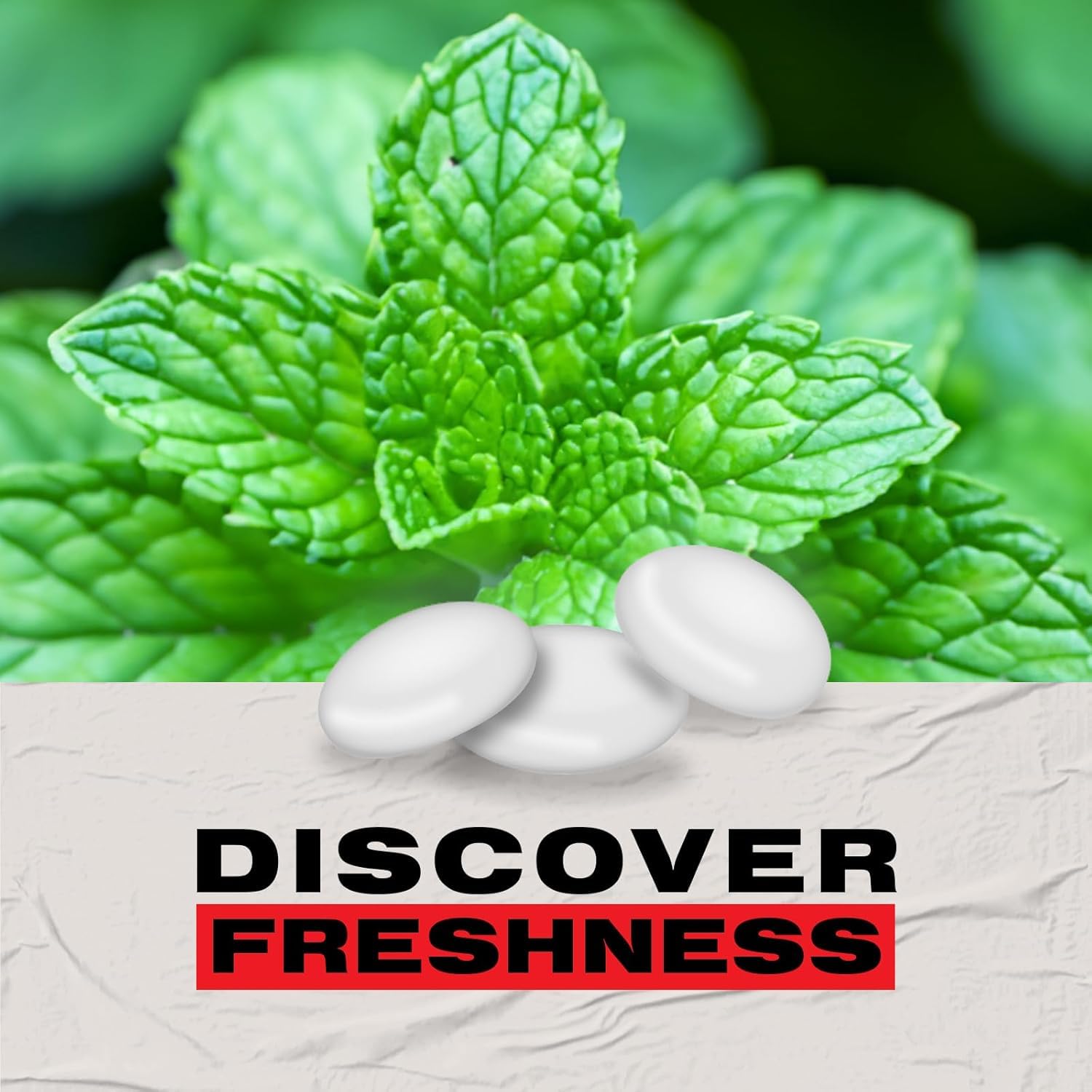 Trebor Softmints Pfefferminzgeschmack, 44er-Packung, vegane und vegetarische Kaubonbons mit knuspriger Hülle 6