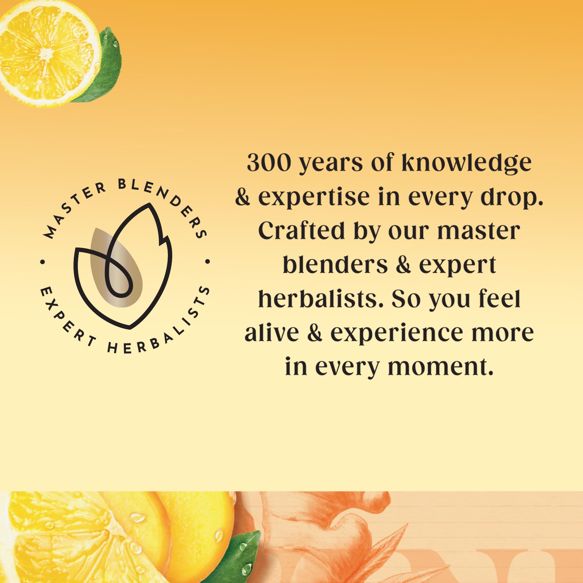 Twinings Lemon and Ginger Flavoured Herbal Tea - 80 Biodegradable Bags, Caffeine-Free 4