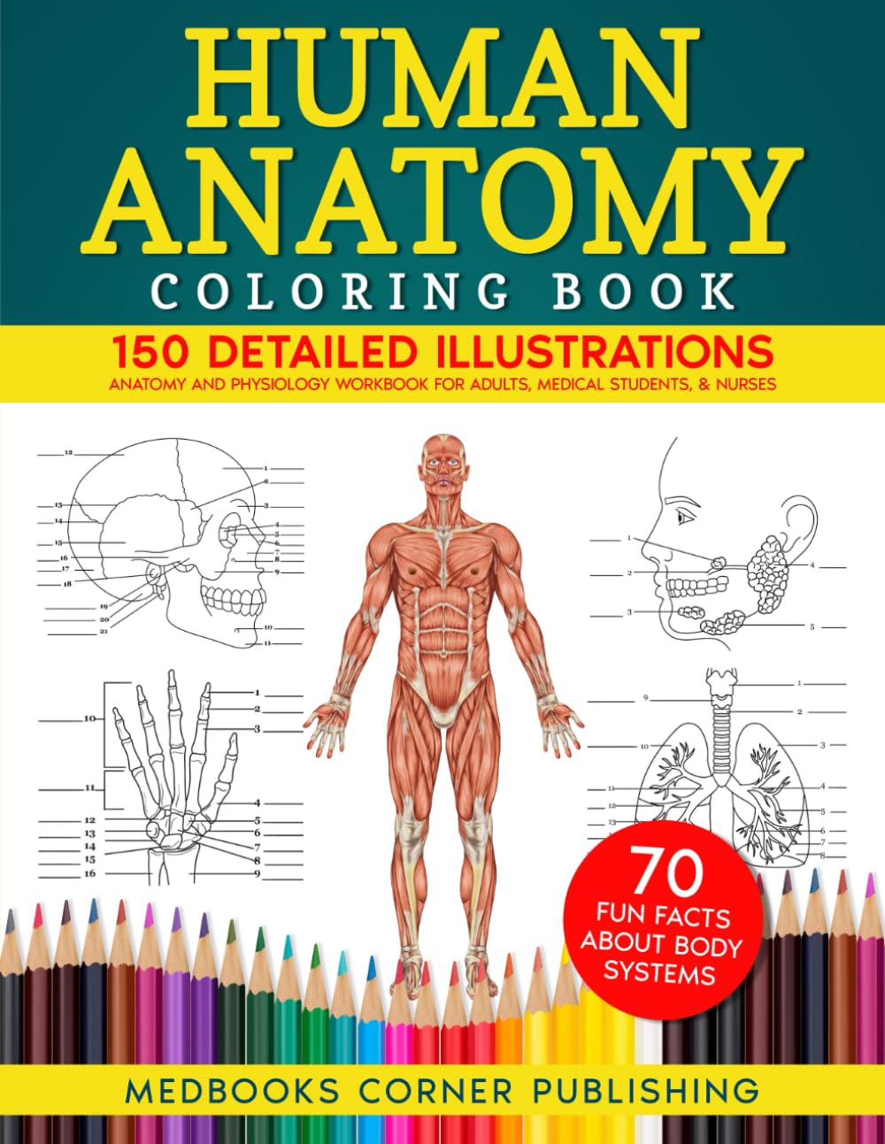 Majosta Human Anatomy Coloring Book - 150 Detailed Illustrations | Paperback