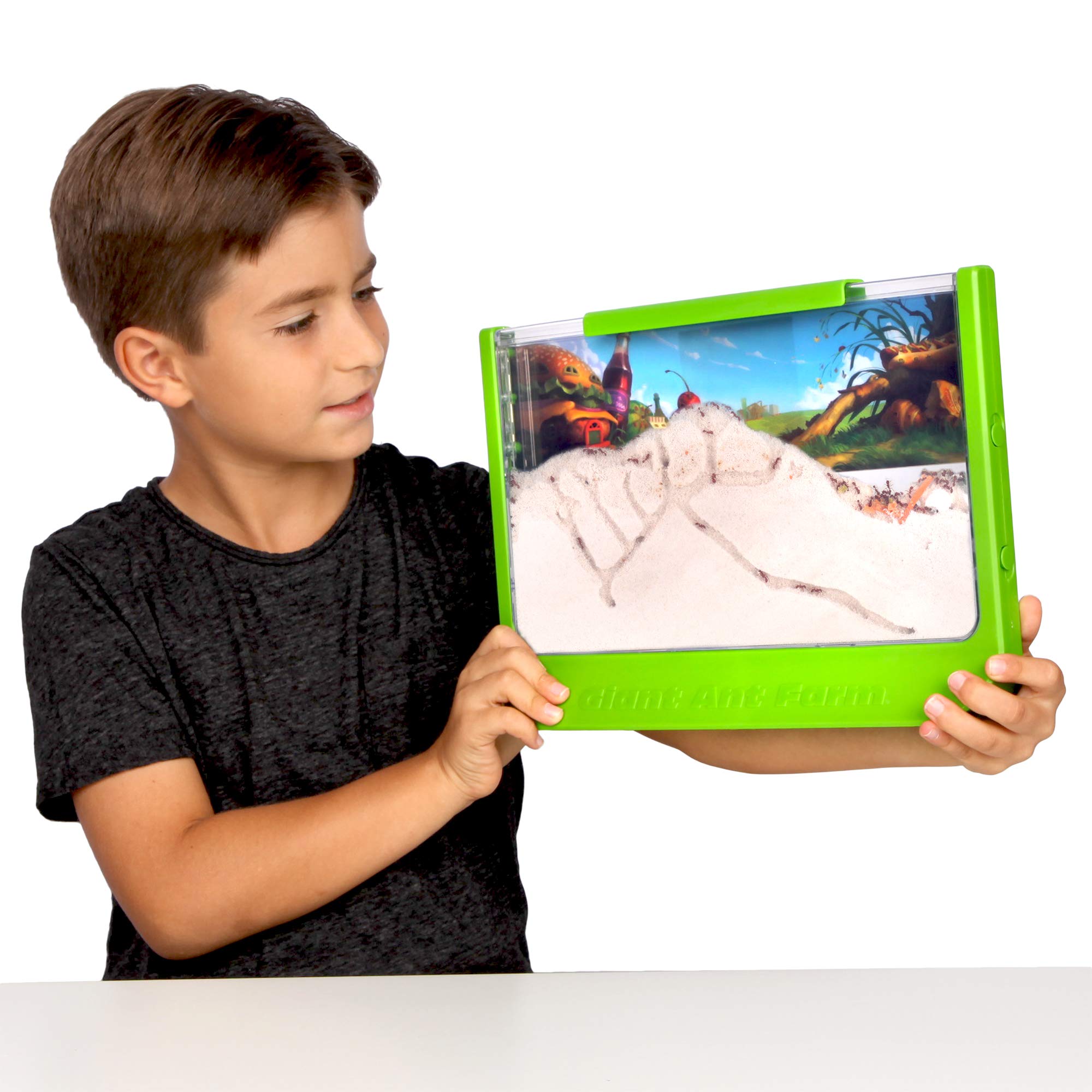 Uncle Milton Giant Ant Farm - Extra Large Viewing Area with Ant Picnic Scene 1