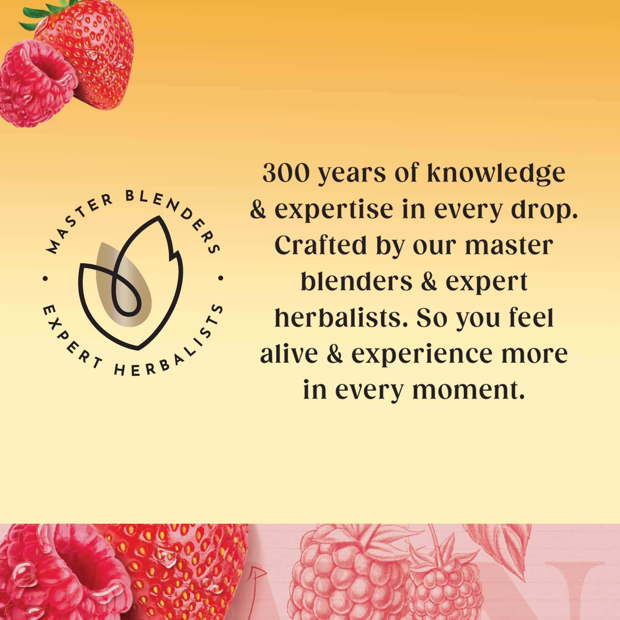 Twinings - Cranberry & Raspberry Fruit Infusion Tea 80 Biodegradable Bags (4 x 20) Caffeine-Free Herbal Vegan Tea 3