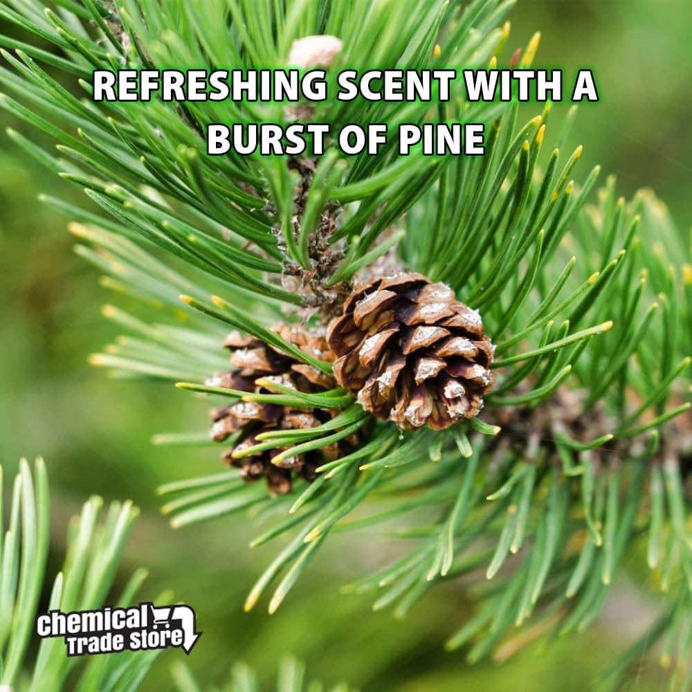 Chemical Trade Store Pine Floor Gel - Industrial Strength Cleaner | 1L | Pine Scent 4