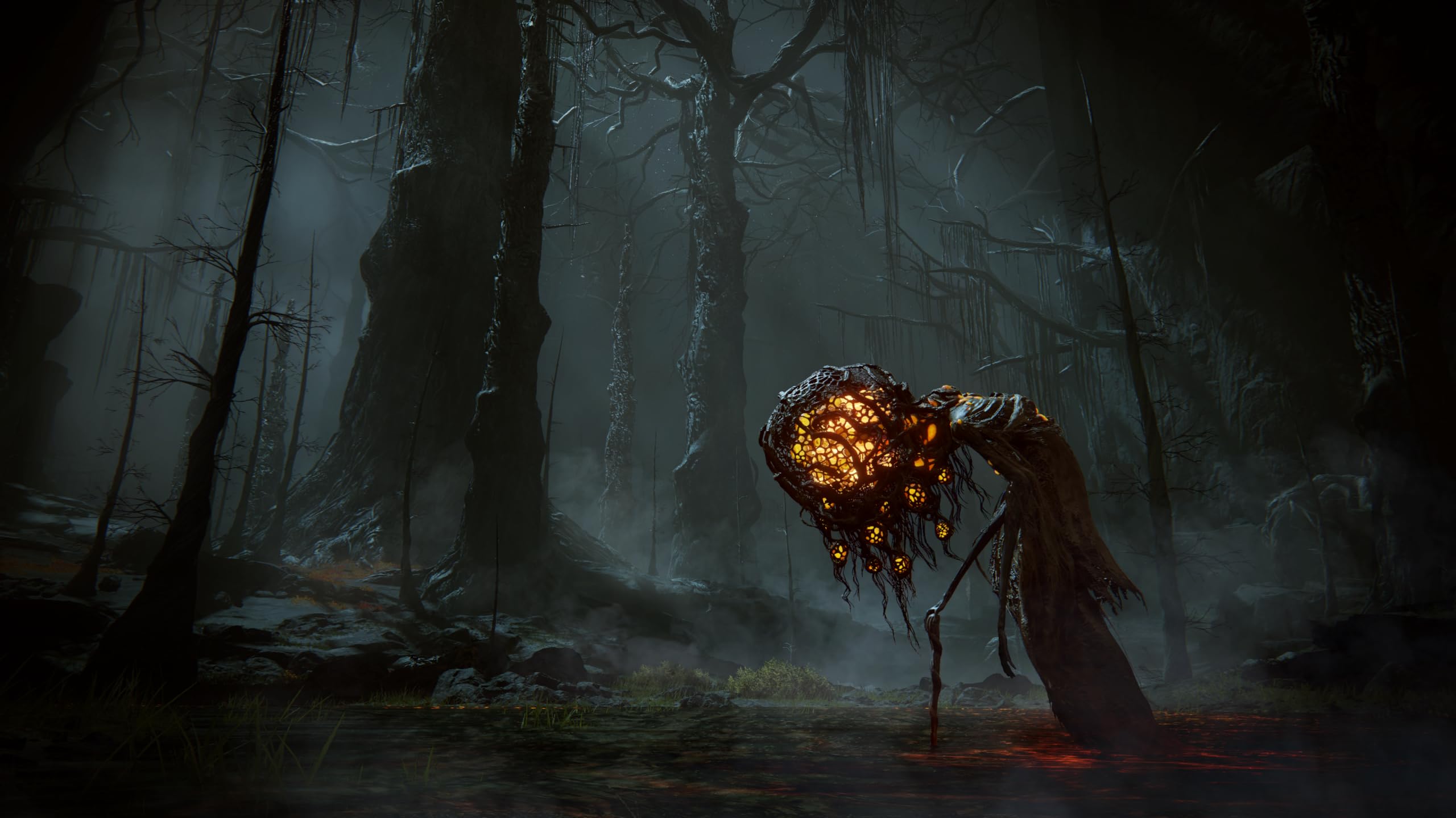 Elden Ring: Shadow of the Erdtree Edition [Xbox Series X] 2