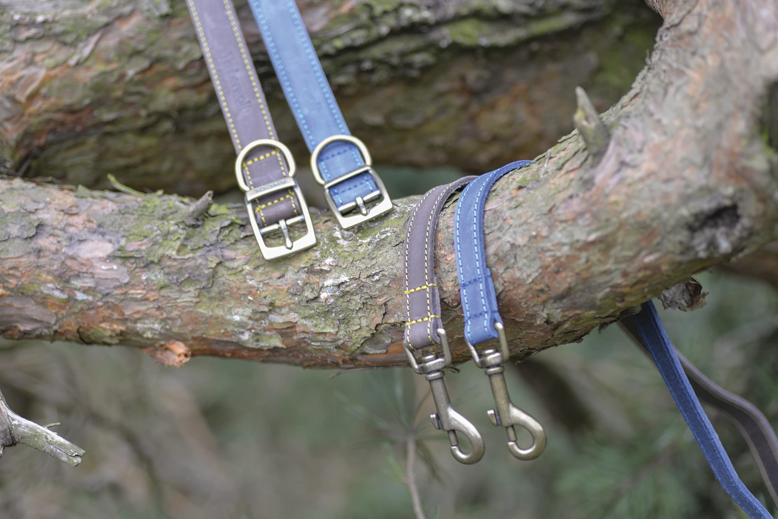 Ancol Timberwolf Leather Dog Collar - Blue | Size 3 (28-36 cm Neck) | 1.6 cm Width 3