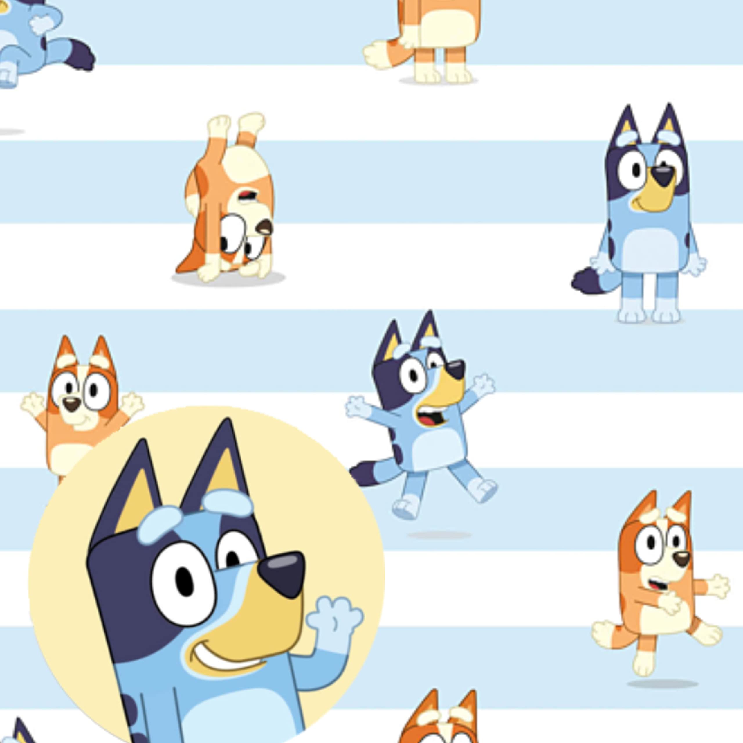 Bluey Gift Wrapping Paper 3 Pack - 6 Sheets & 6 Tags | 70cm x 50cm 3