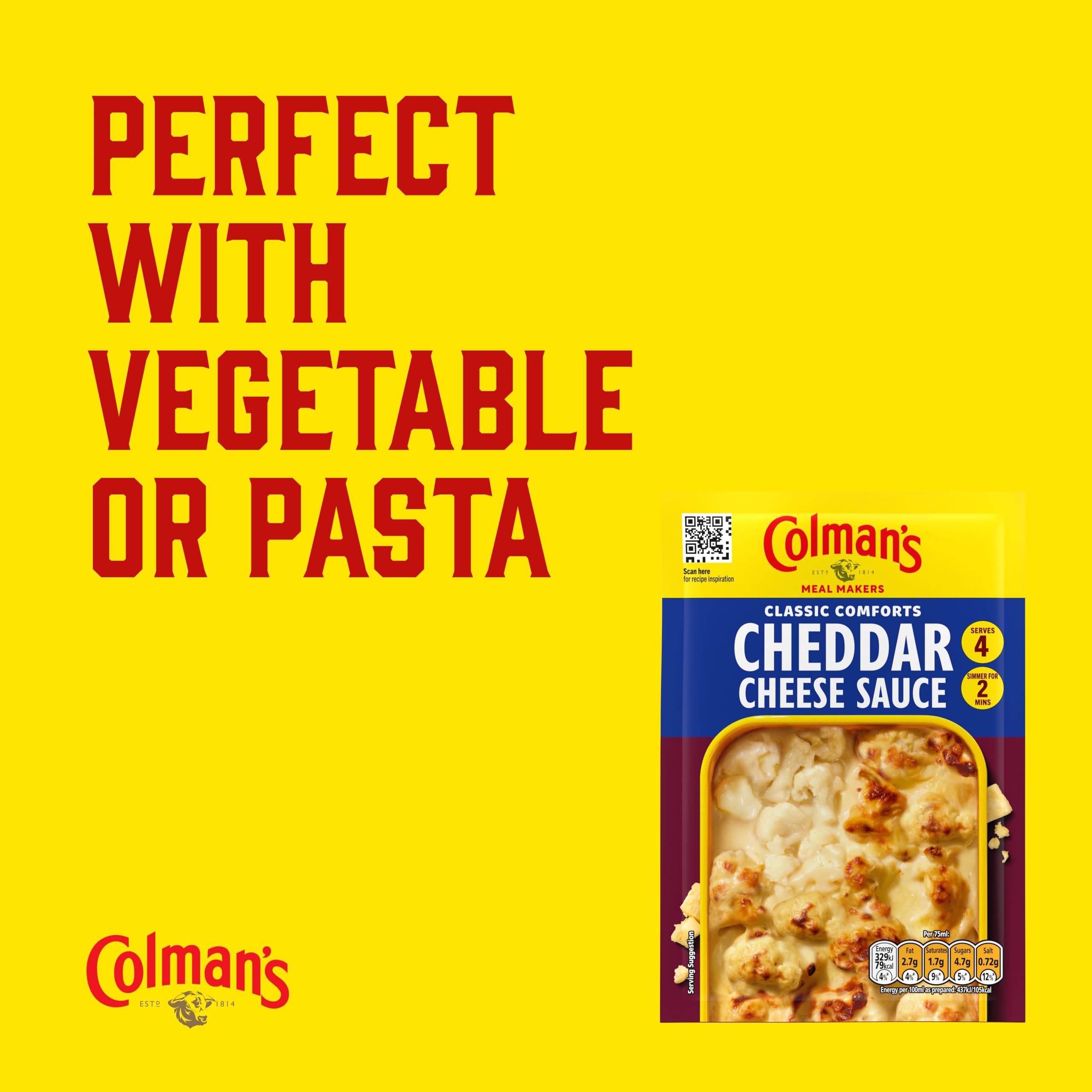Colman's Meal Maker Cheddar Cheese Sauce Mix, 40g 3