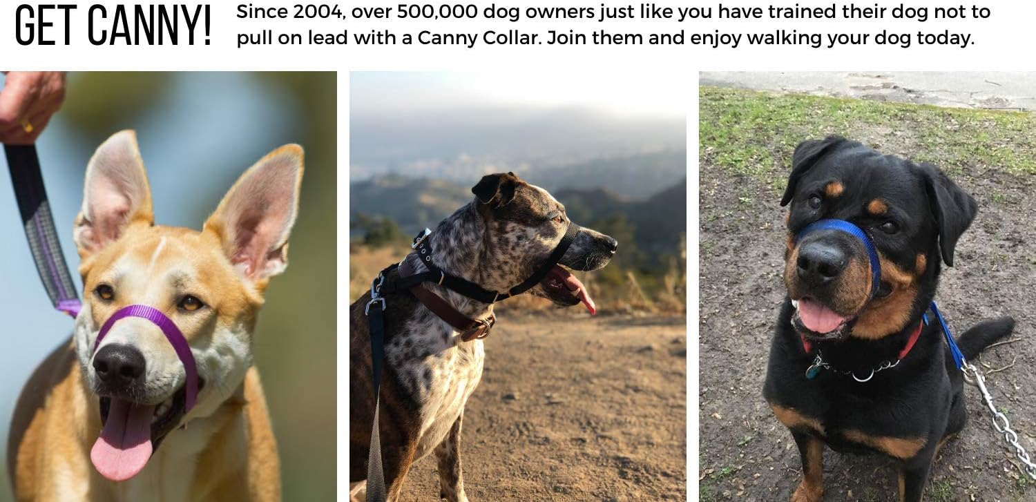 Canny - Canny Collar Head Collar for Dog Training and Walking - Black (Size 4, Model 02-1005) 12