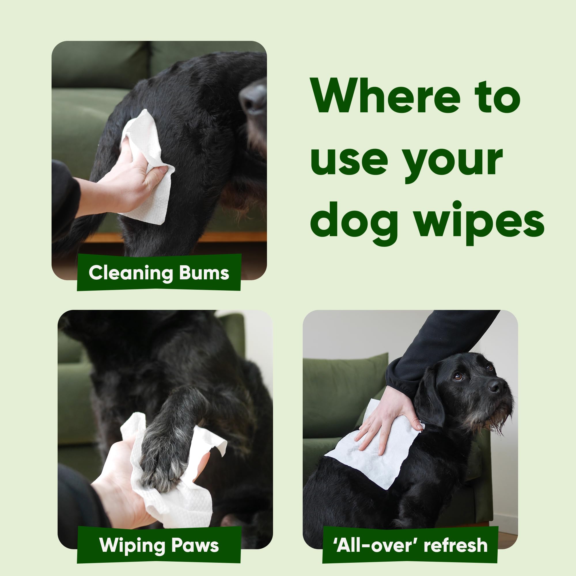 Beco Dog Wipes - Coconut Scented, Hypoallergenic, 80 Count Pack 7