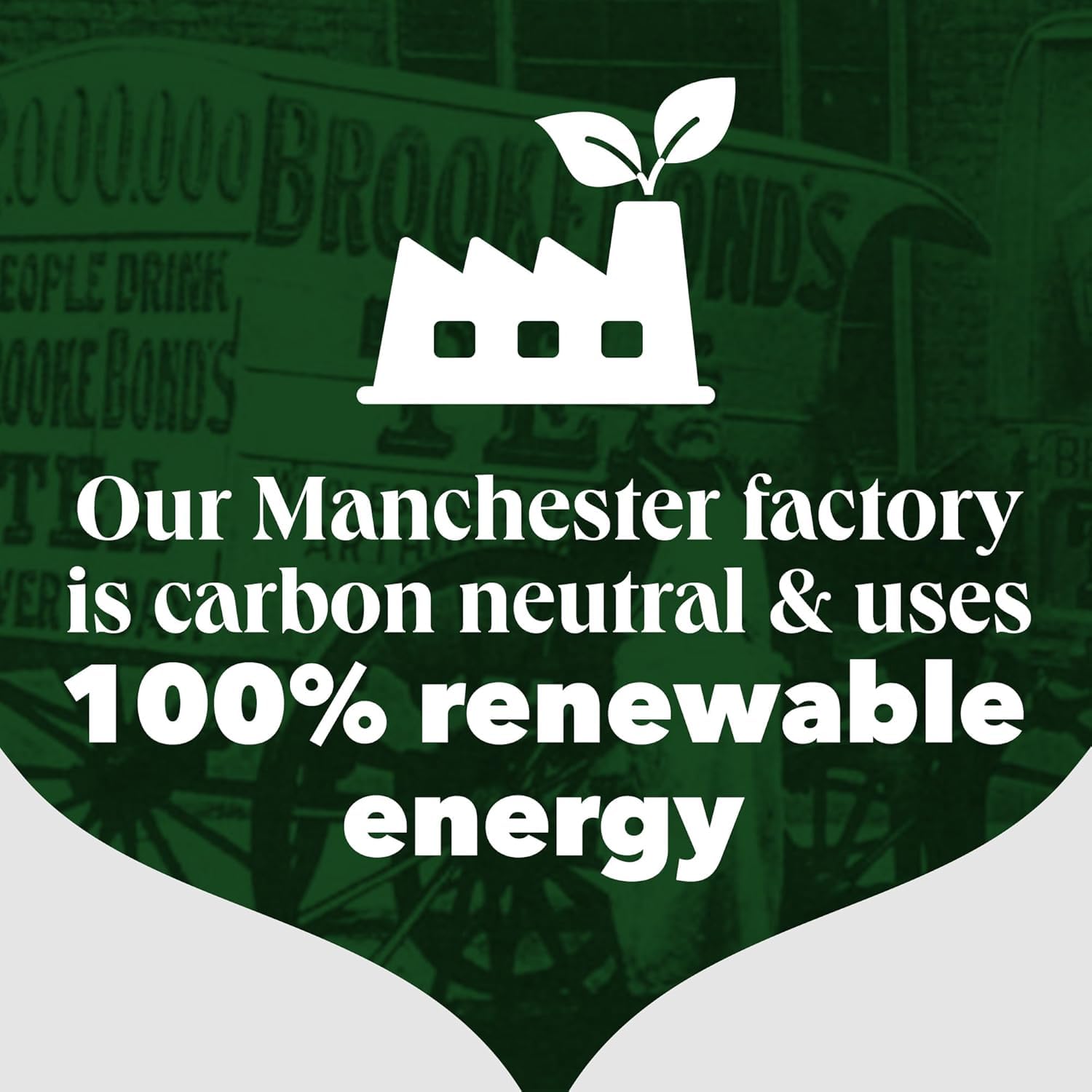 PG Tips – Original Schwarzteebeutel, 400 Stück, vollmundig und erfrischend 6