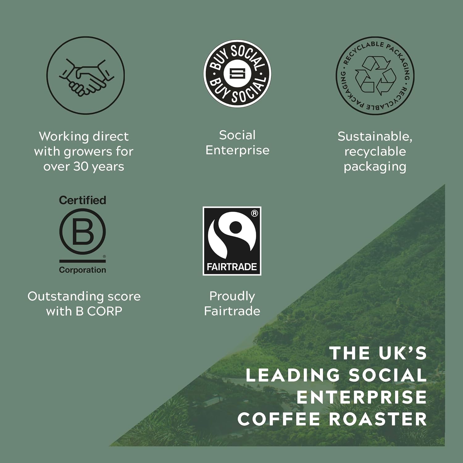 Cafédirect Mayan Gold Mexico Organic Fairtrade Ground Arabica Coffee 227g 4