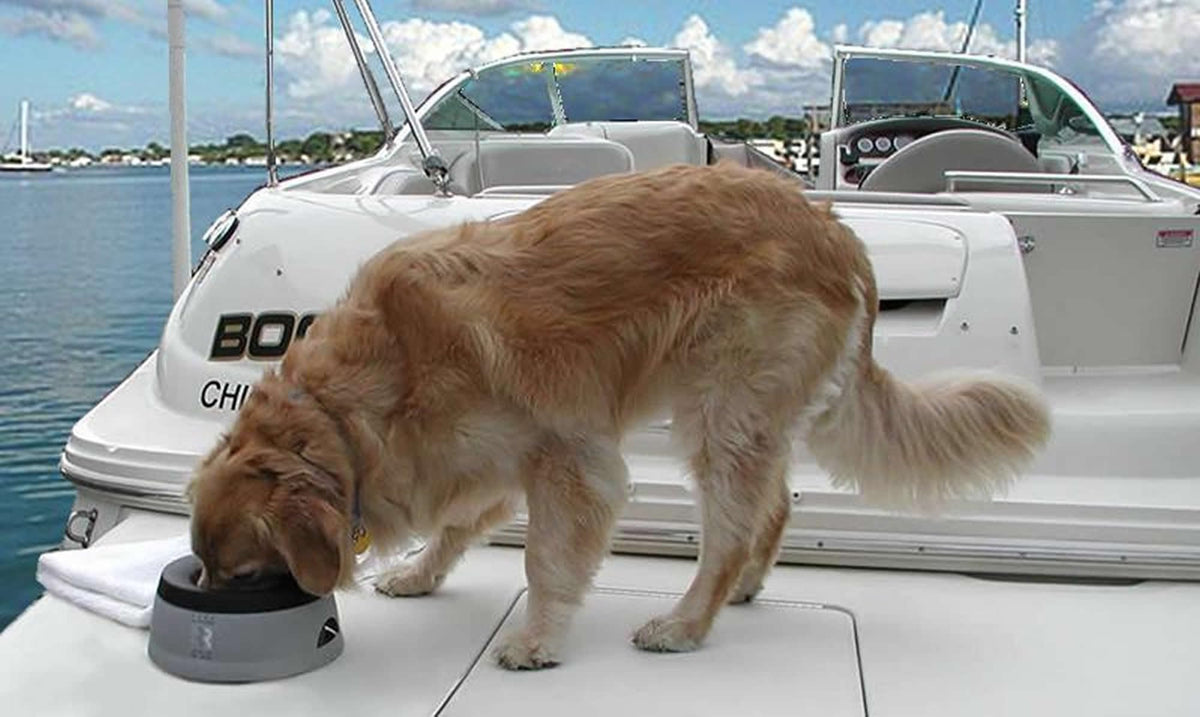 Road Refresher Non-Spill Pet Water Bowl - Large, Green | Heat Resistant Polypropylene