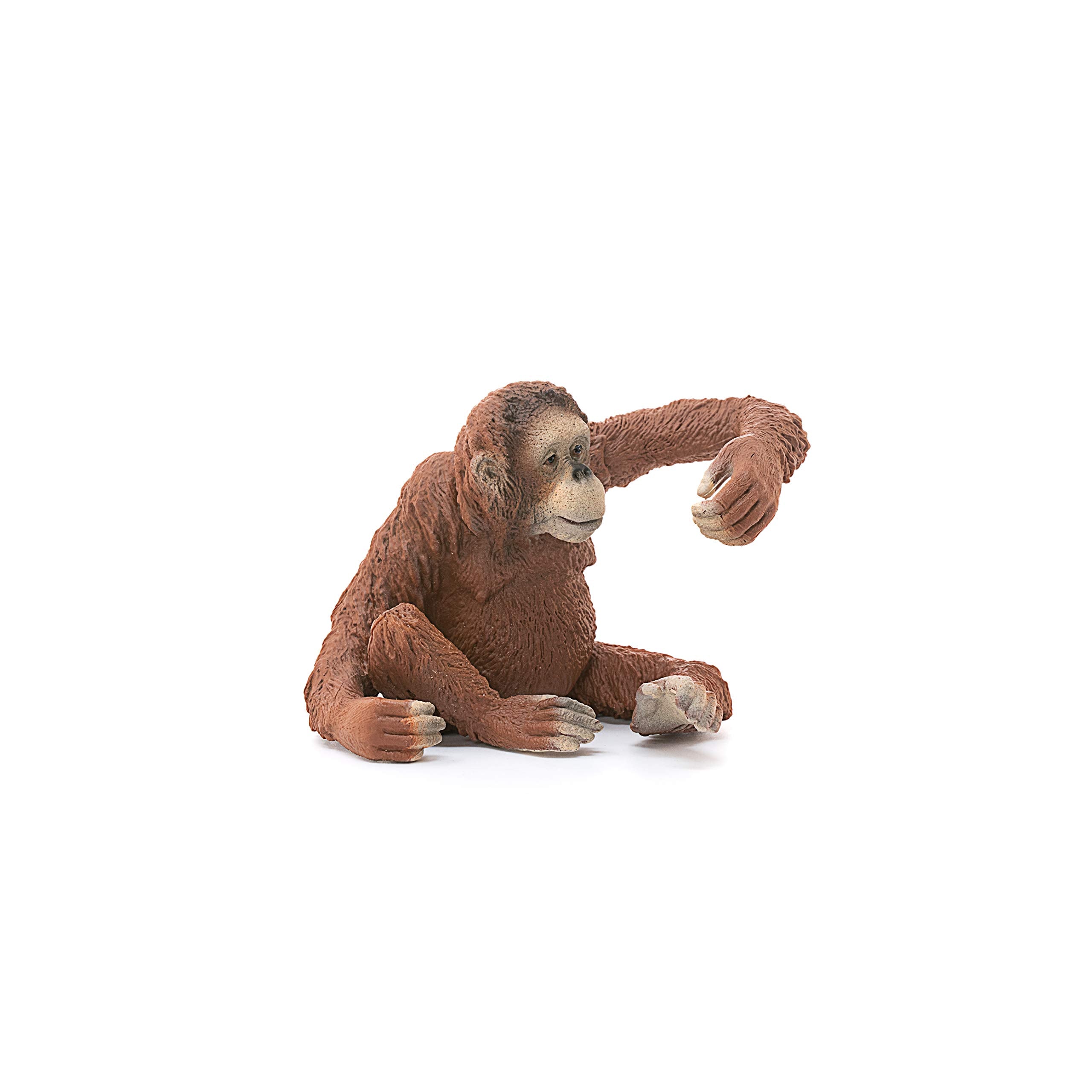 SCHLEICH Orangutan Female Figurine - Movable Arms & Fruit-Holding Jungle Animal Toy for Kids 3