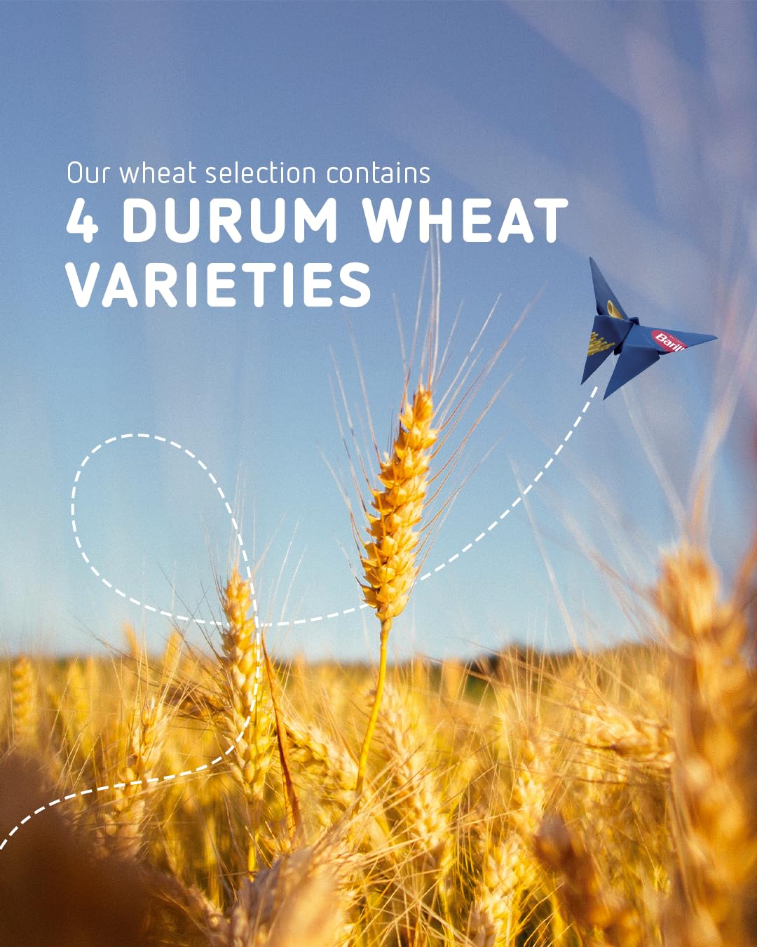 Barilla Tortiglioni – Authentic Italian Pasta Made with Durum Wheat – 500g 5