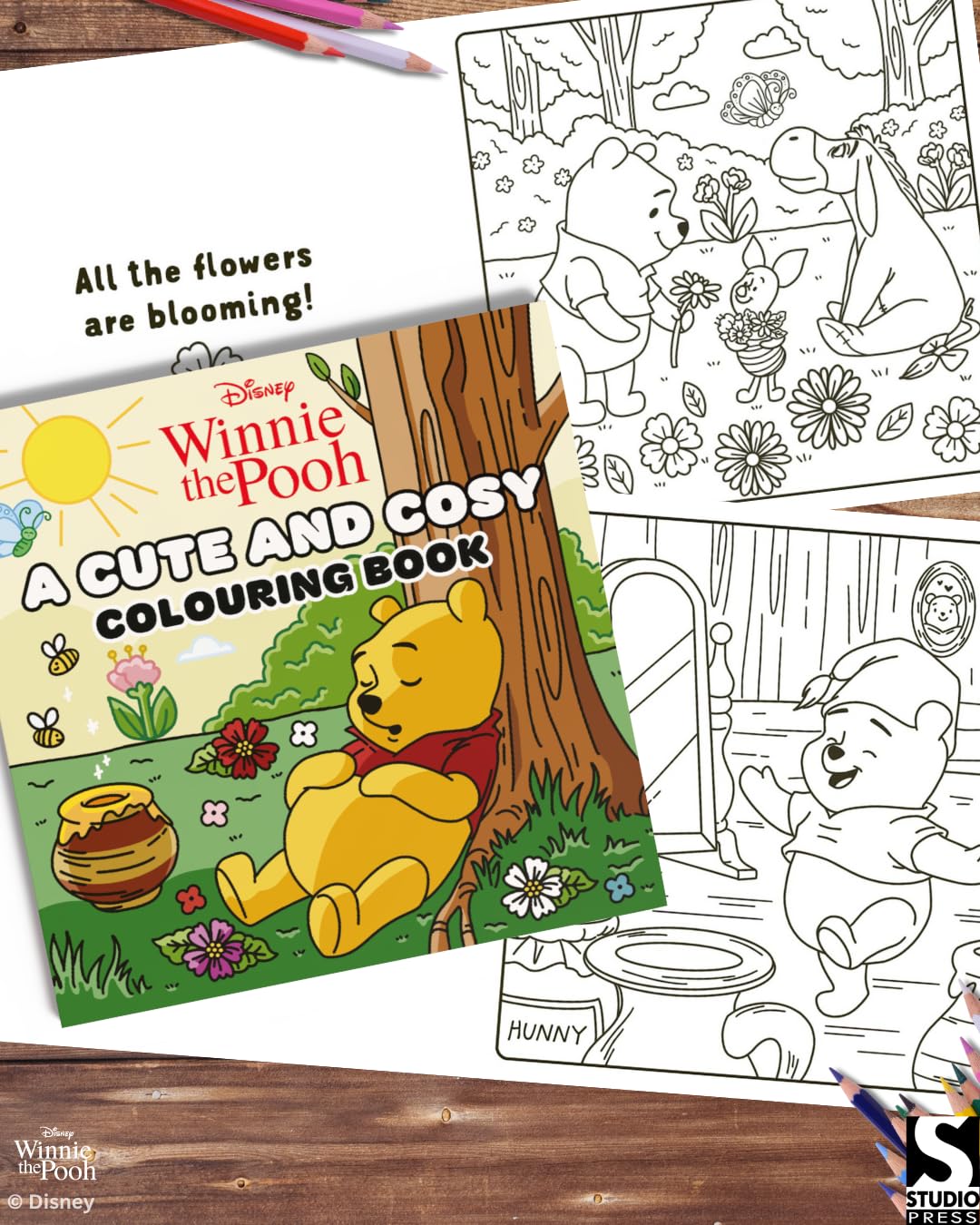 Studio Press Disney Winnie the Pooh: A Cute and Cosy Colouring Book | Paperback | English 6