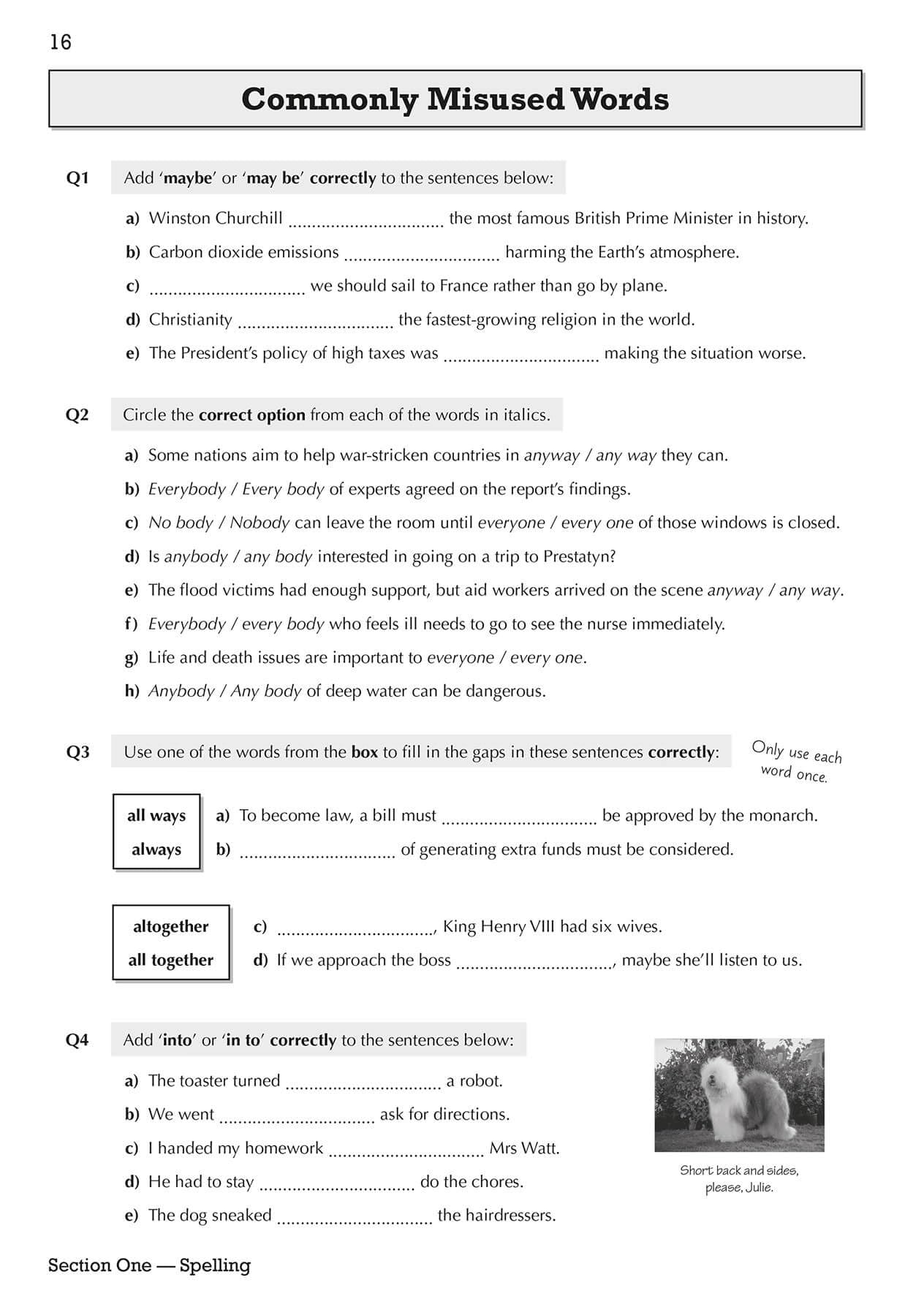 CGP Spelling, Punctuation and Grammar for Grade 9-1 GCSE Workbook | Includes Answers | Ages 14-16