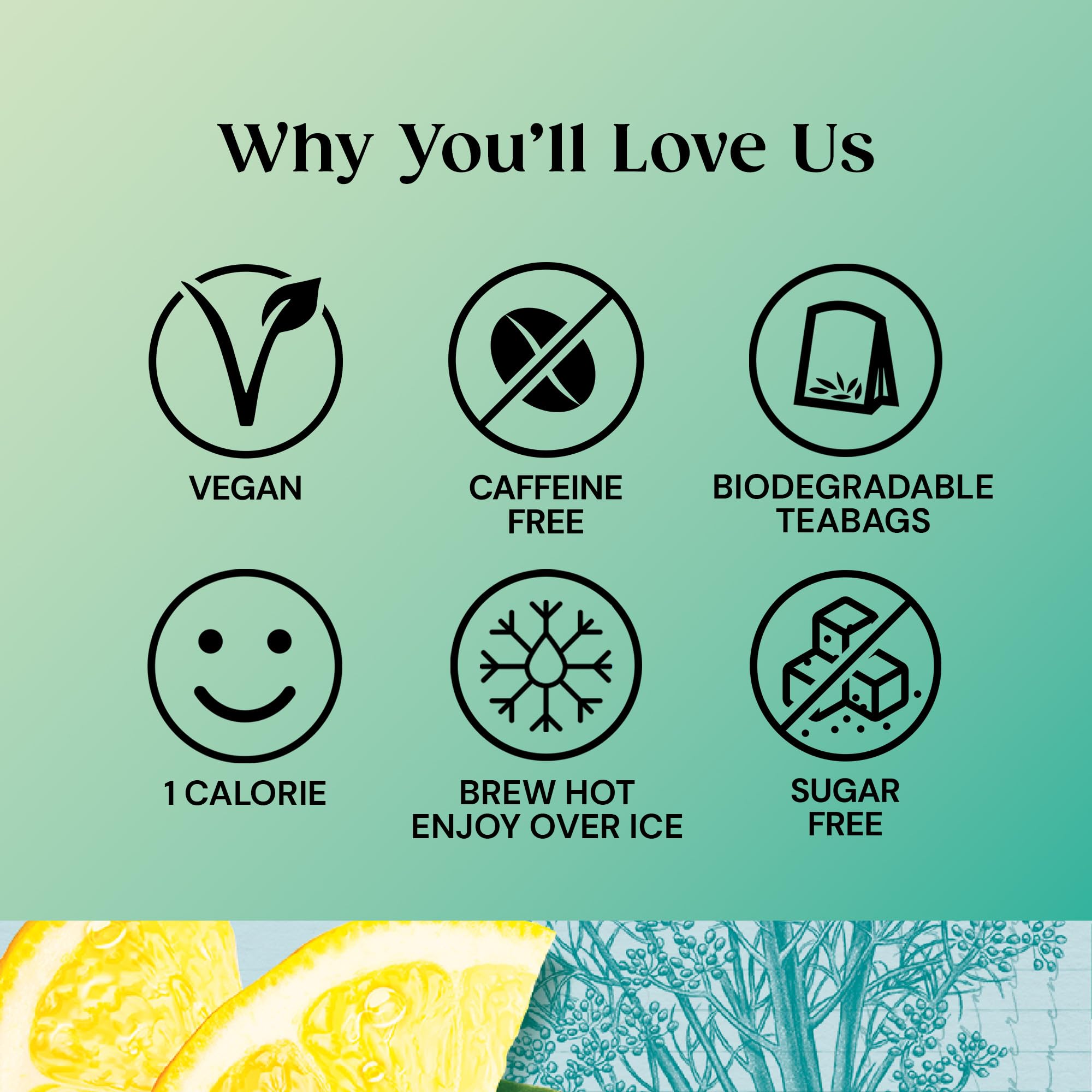 Twinings Detox Lemon Ginger & Burdock Root Herbal Tea Infusion 4