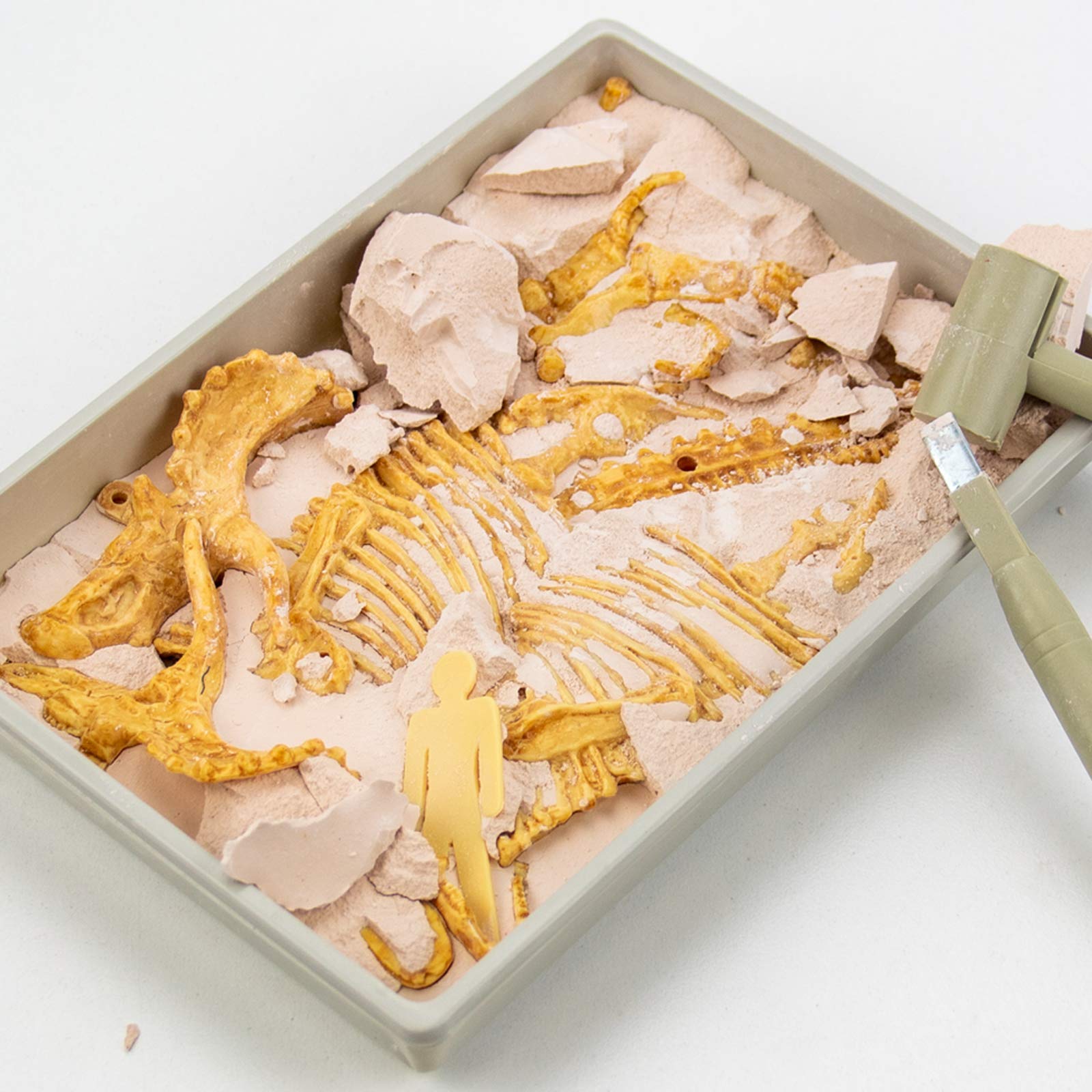 Science4you Triceratops Fossil Digging Kit - 10-Piece Dinosaur Excavation Set for Kids 6+ 4