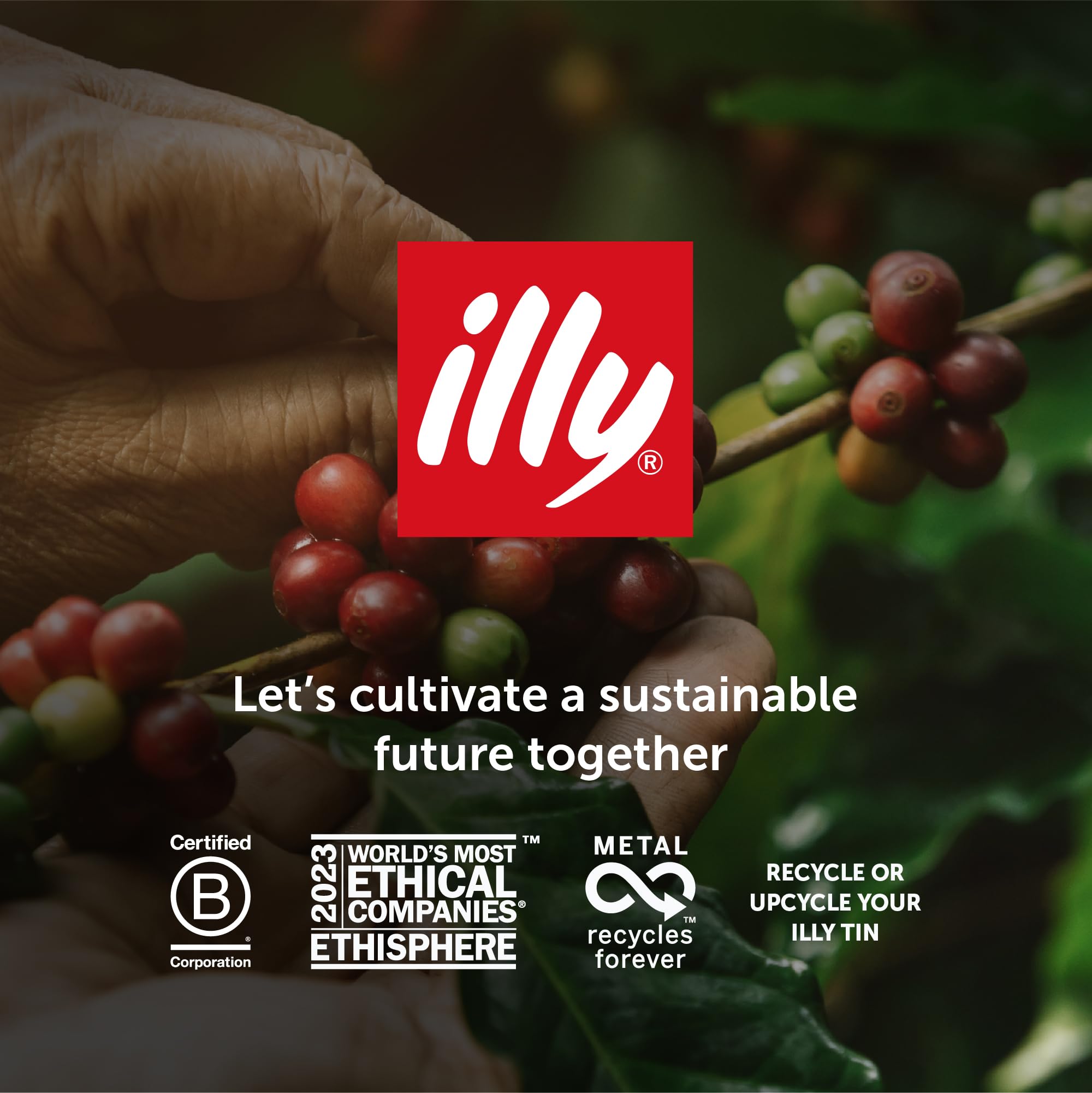 illy Intenso Ground Coffee - Dark Roast, 100% Arabica Blend | Coarse Grind 250g 7